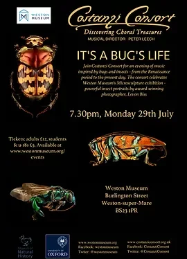 CC Museum 07_19 poster.webp