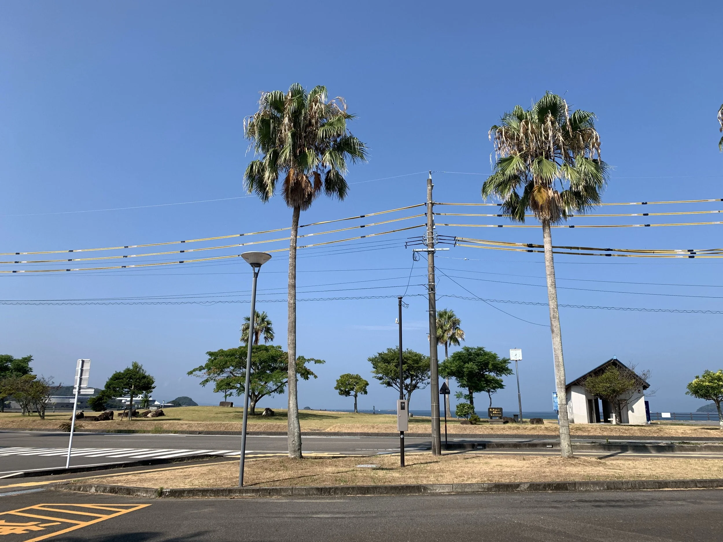今後のイベント