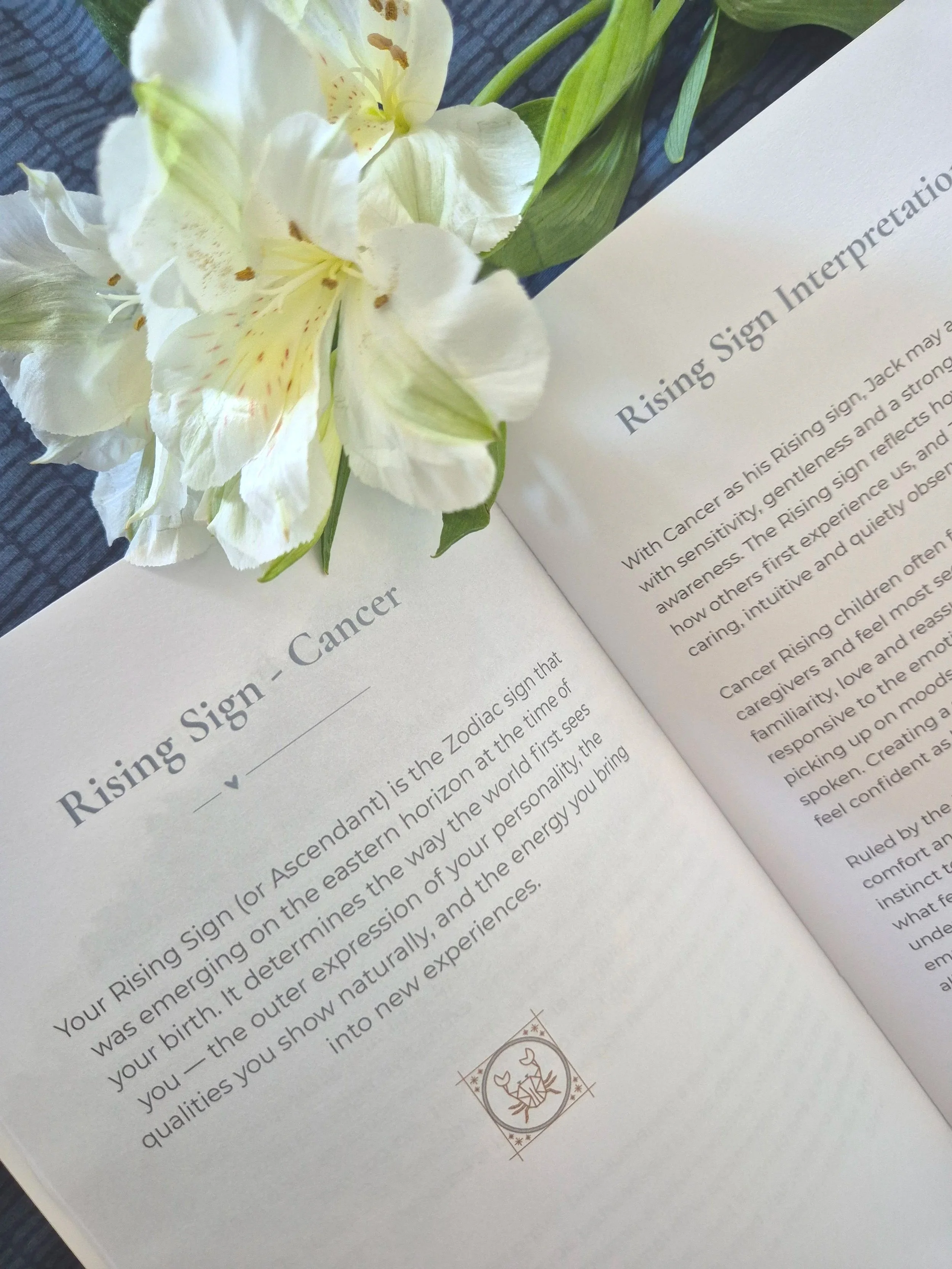 Open baby astrology book on a table with a white flower arrangement nearby, showing a page about the zodiac sign Cancer.
