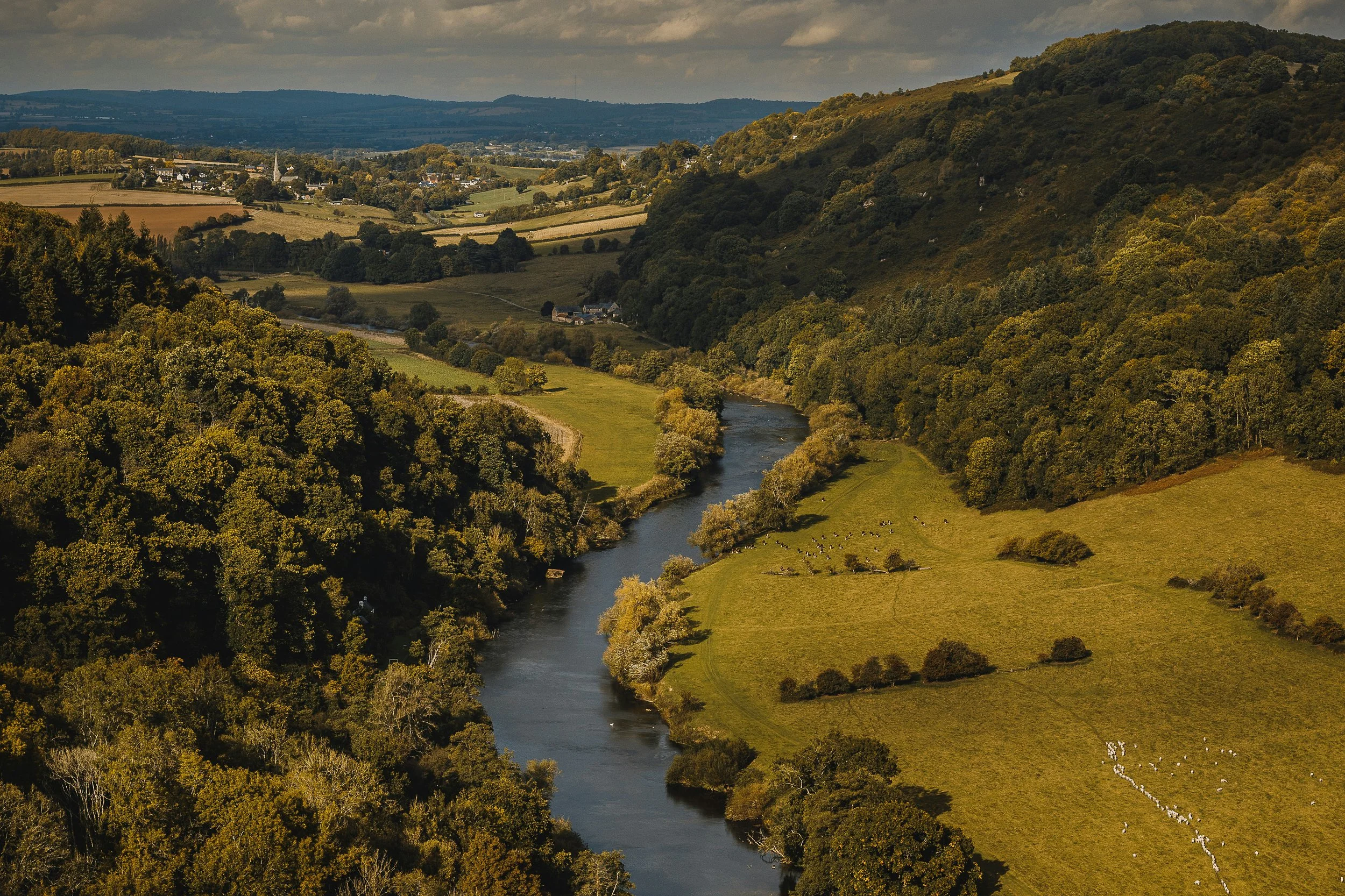 Do we really need another think tank?