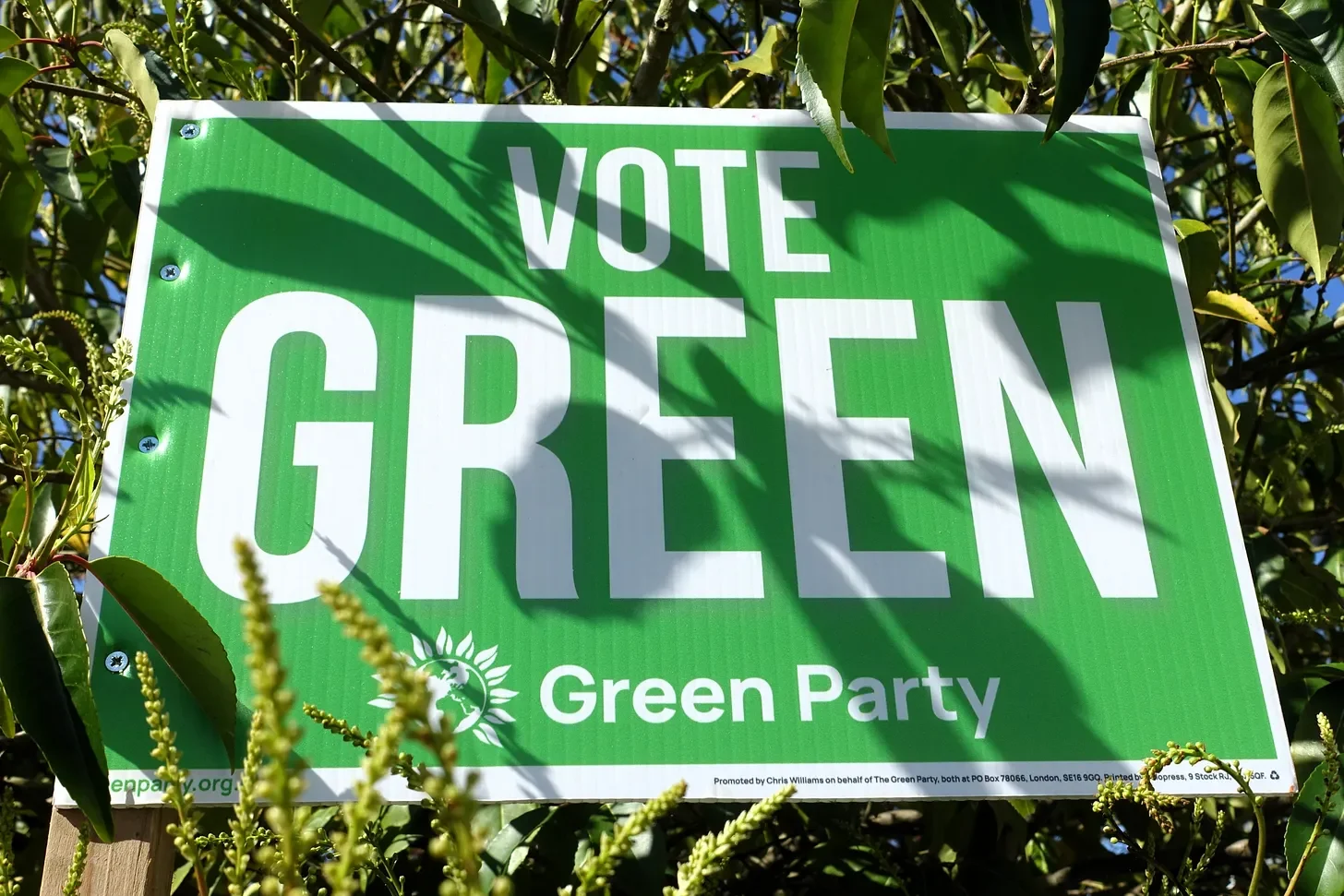 What do the Greens want now?
