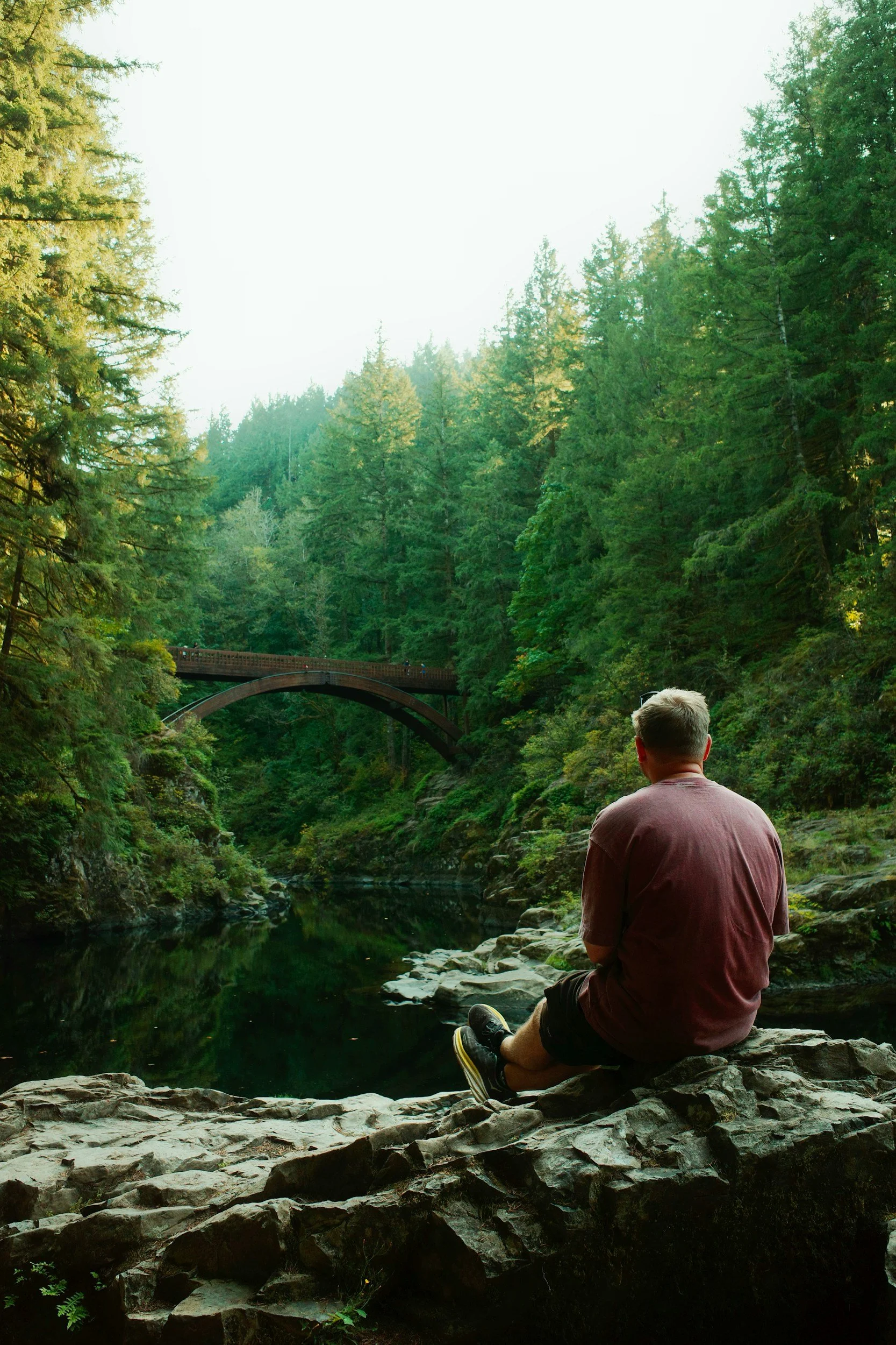 A man sitting on rocks by a river in a forest, with a bridge and tall green trees in the background.