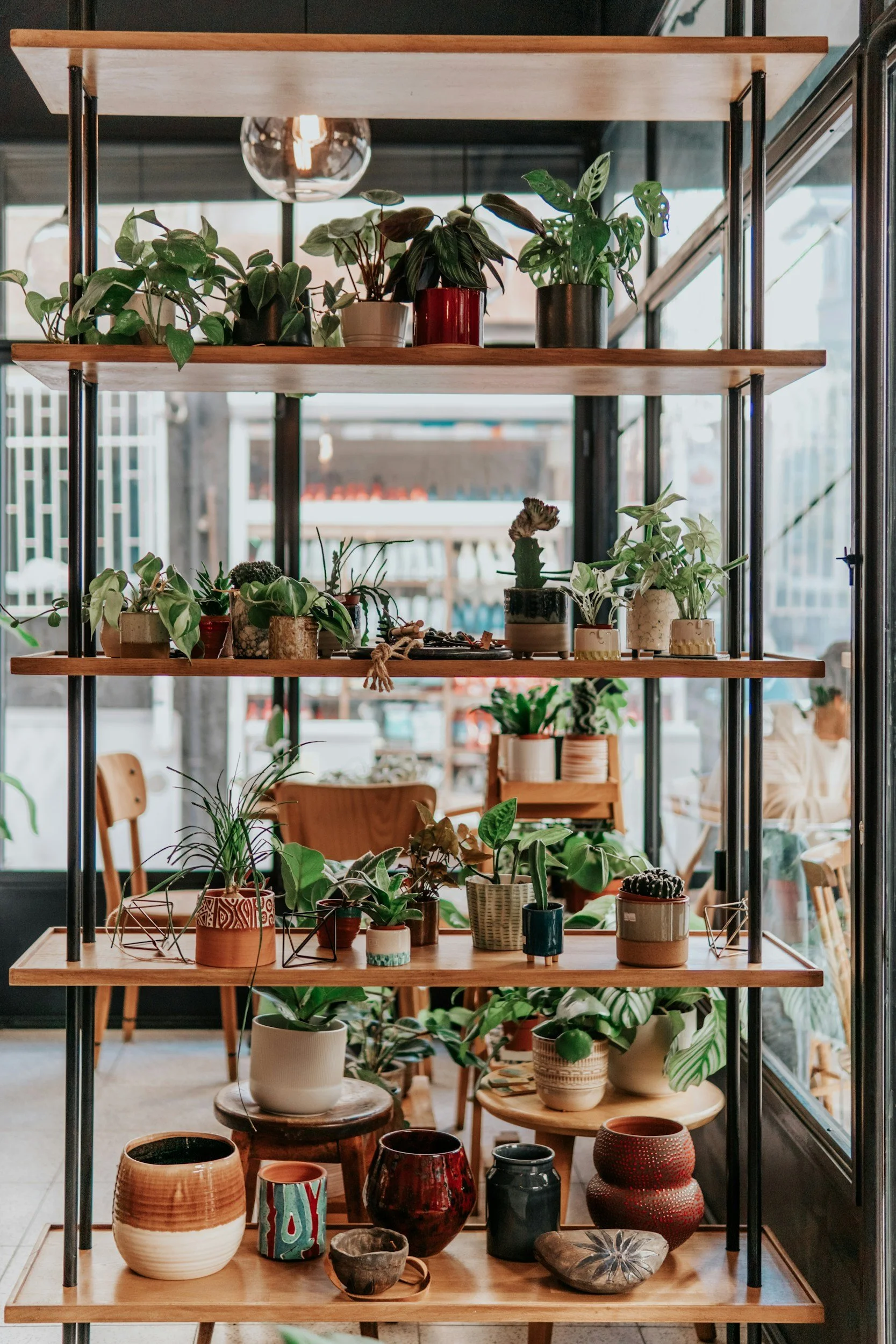 Wooden shelf unit filled with various potted plants and ceramic vases, placed indoors with large windows in the background.