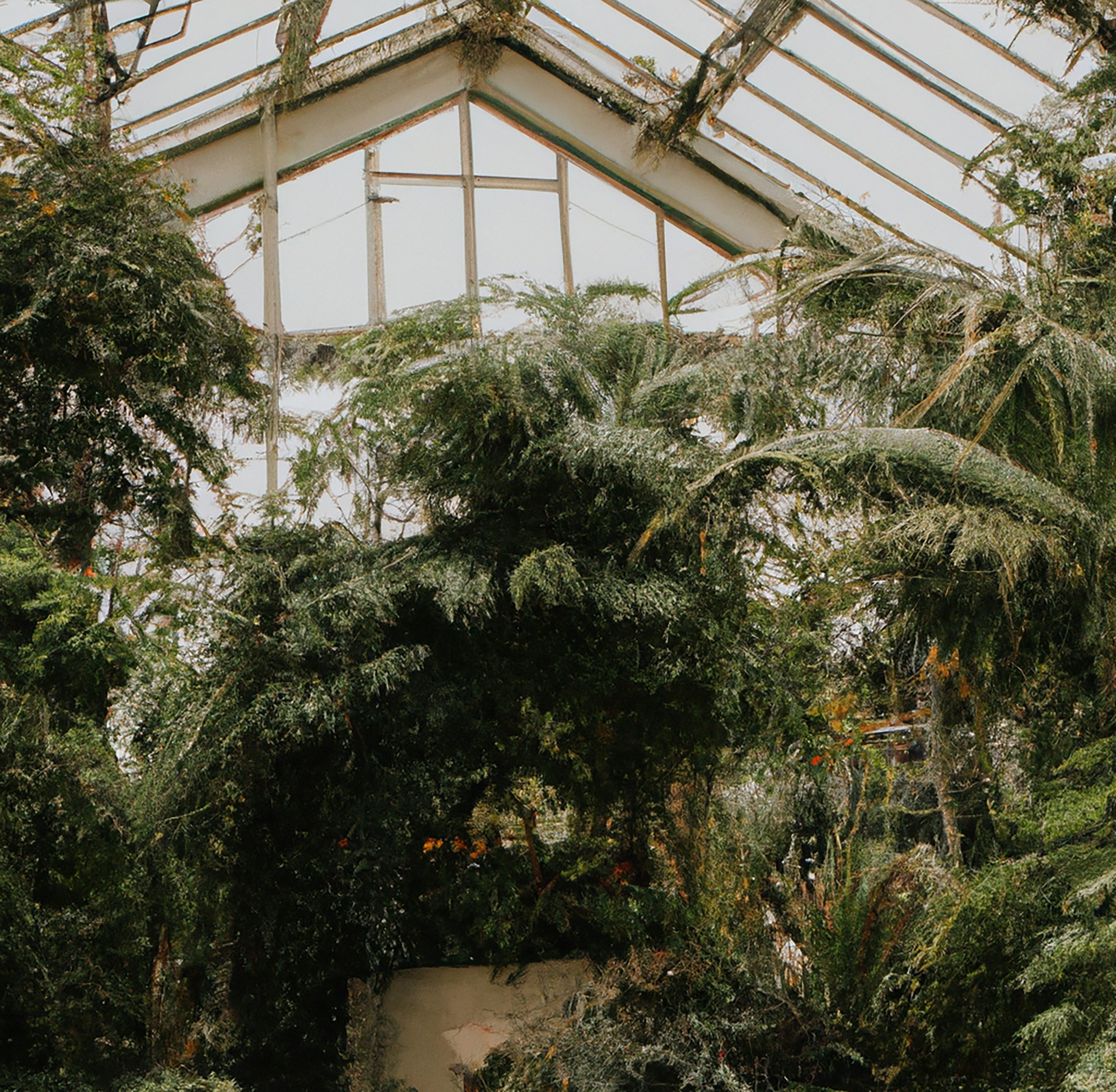 View of a greenhouse structure surrounded by dense green foliage with a cloudy sky in the background.