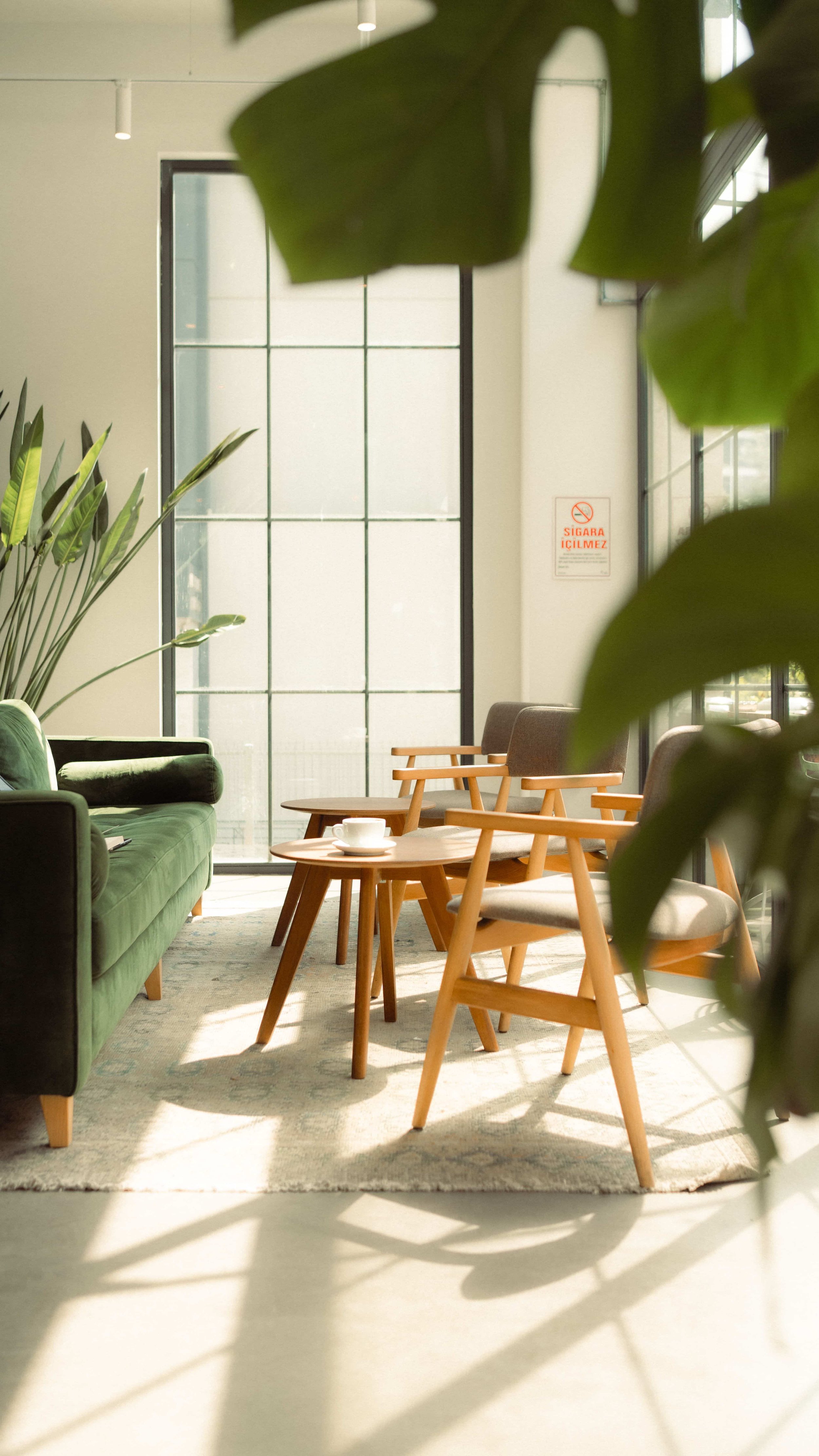 A cozy indoor sitting area with a green velvet sofa, wooden chairs, and a small round coffee table with a white cup and saucer, surrounded by potted plants and large windows allowing natural light.