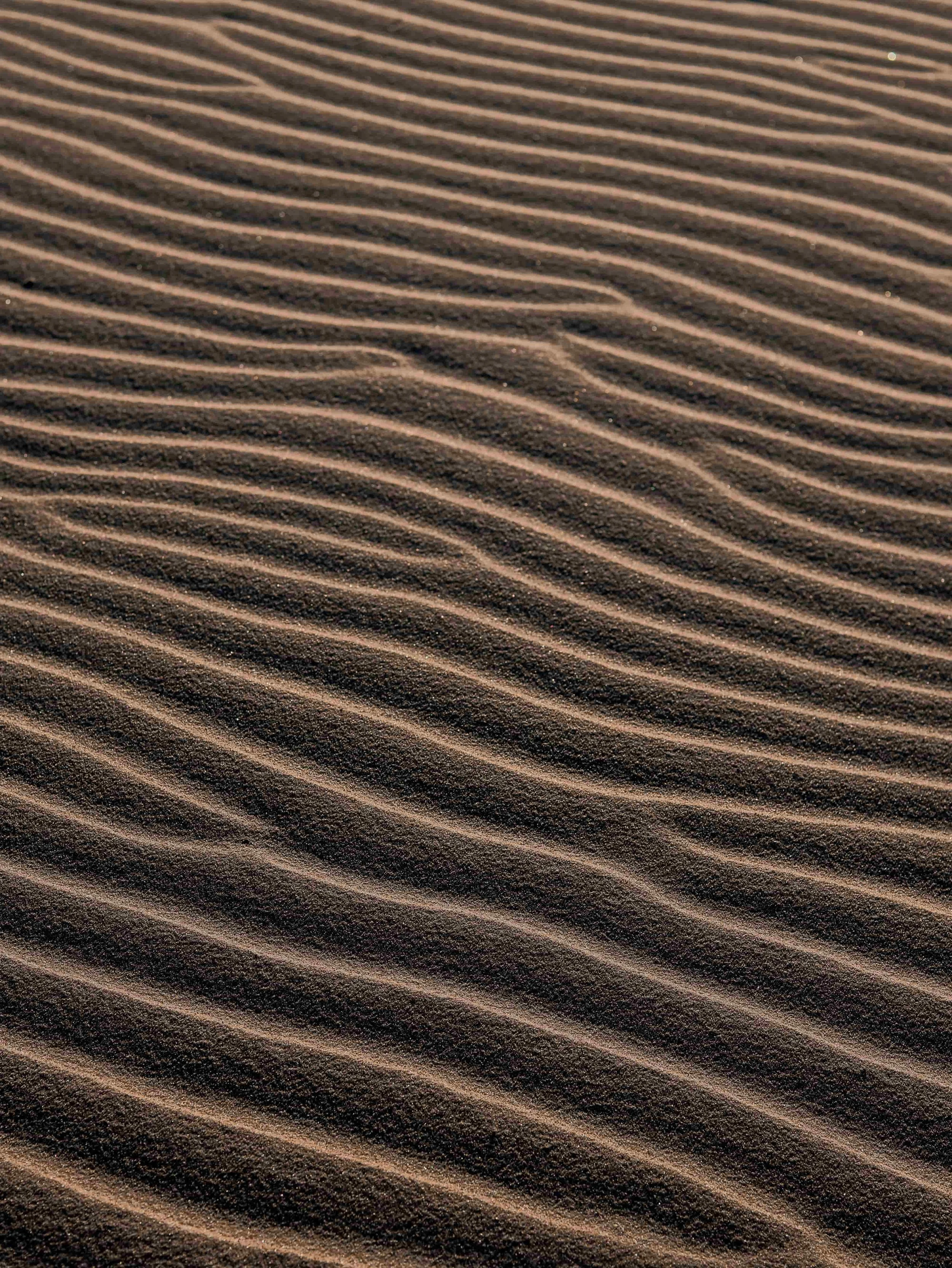 Close-up view of dark, fine sand with evenly spaced, wavy ridges and small sparkling particles.