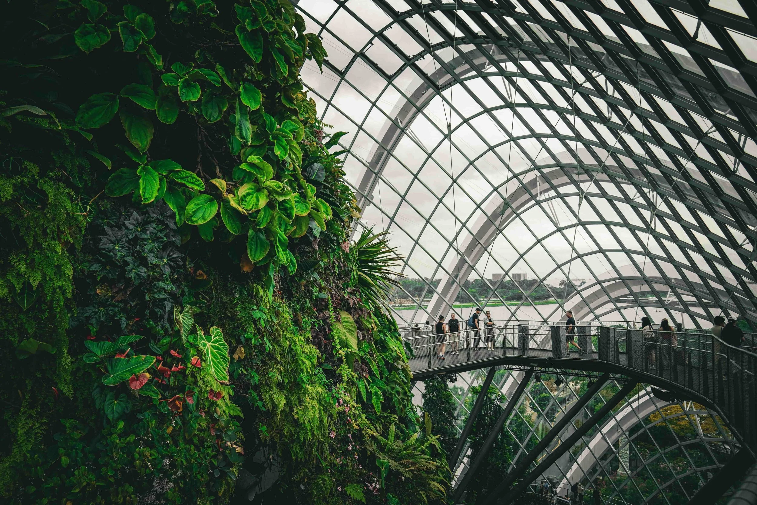 View of lush green plants and leaves inside a large, modern glass and steel conservatory with a curved, grid-like ceiling structure. People are walking on an elevated walkway in the background.