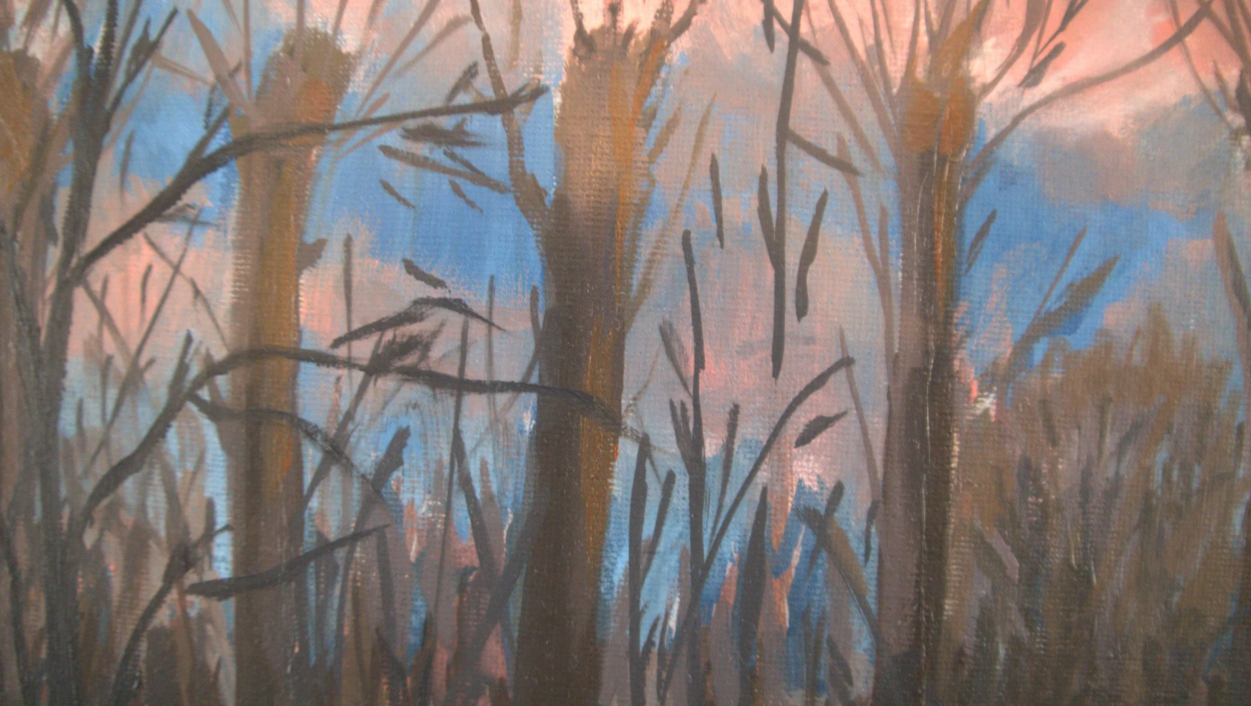 Out the back 003.jpg