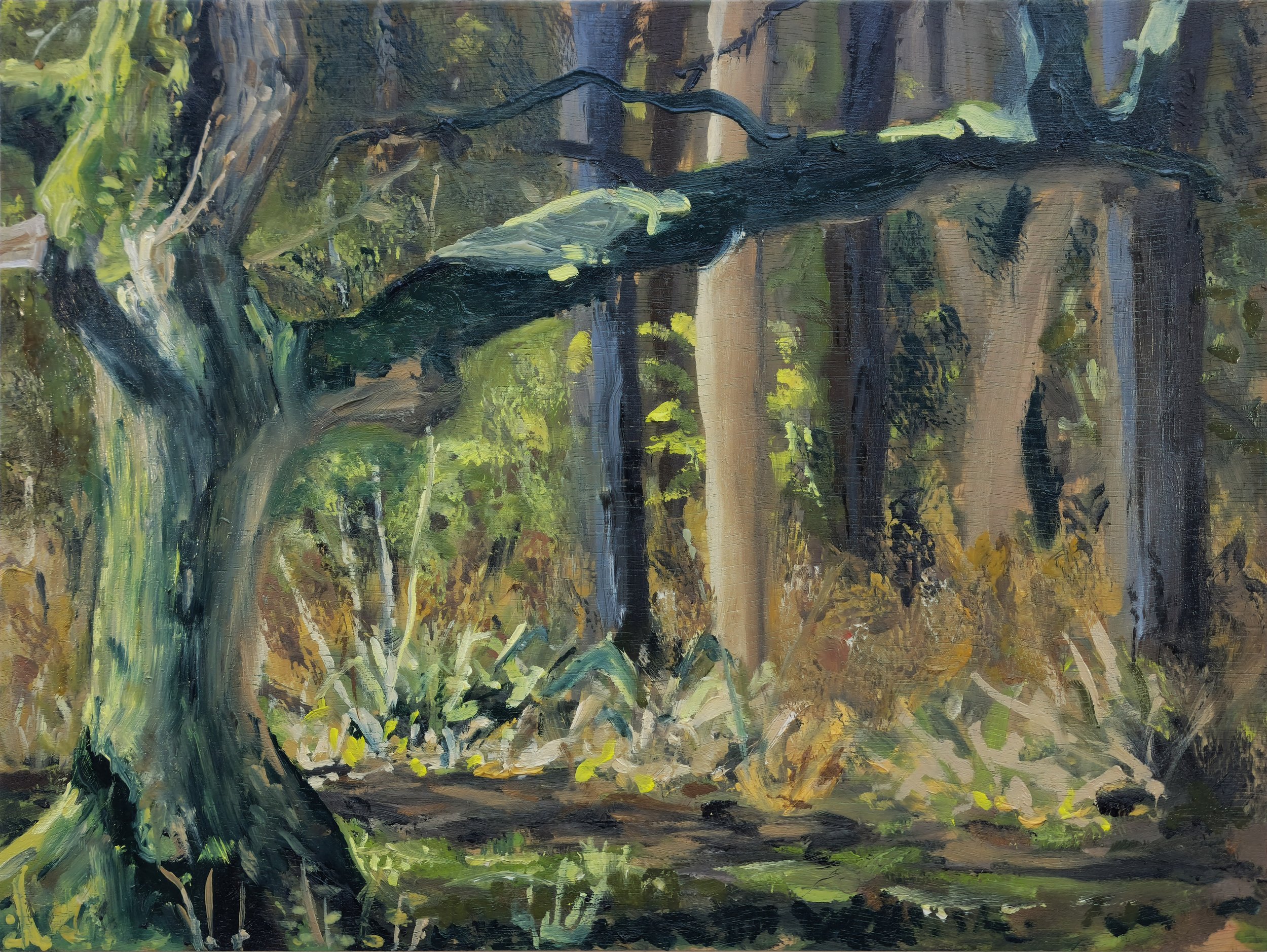 Brampton Woods Crossroads resize300dpi.jpg