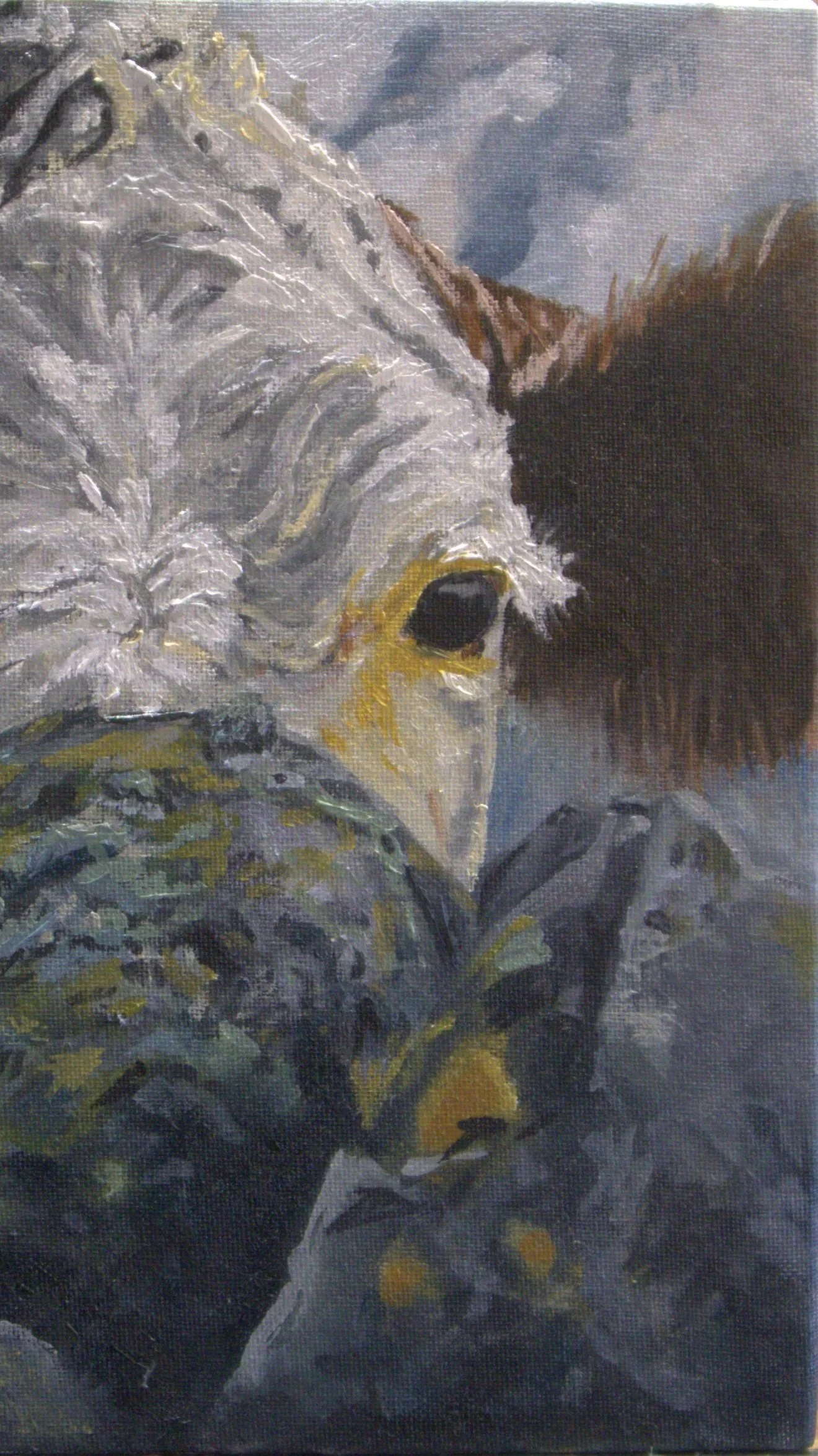 A painting of a cow, looking over a natural stone wall. The Cow's head fills the canvas against a cloudy sky. Blues, greens, browns, yellows