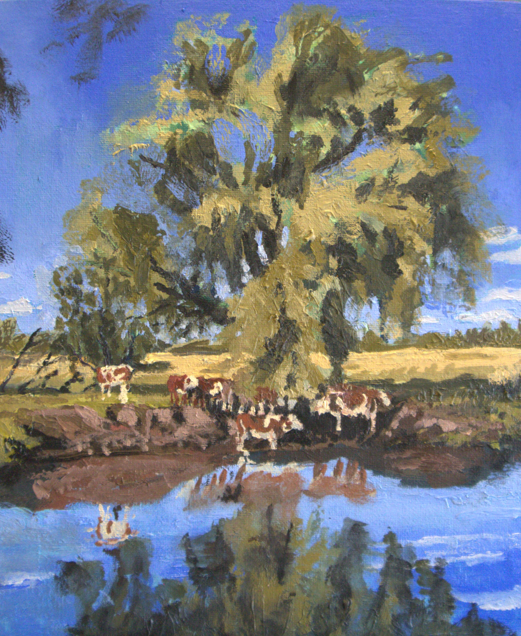 Cows under Tree