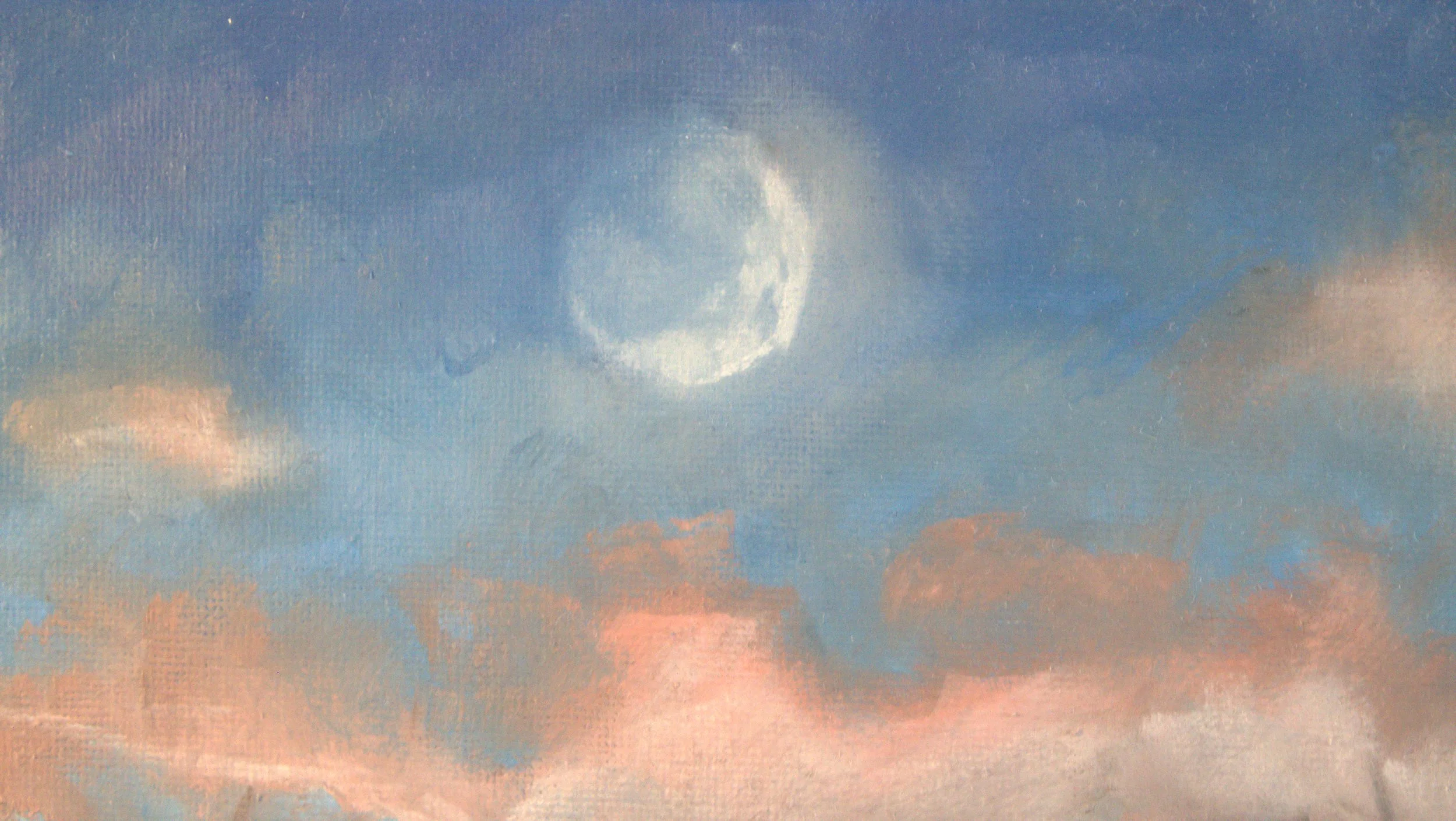 Out the back 002.jpg