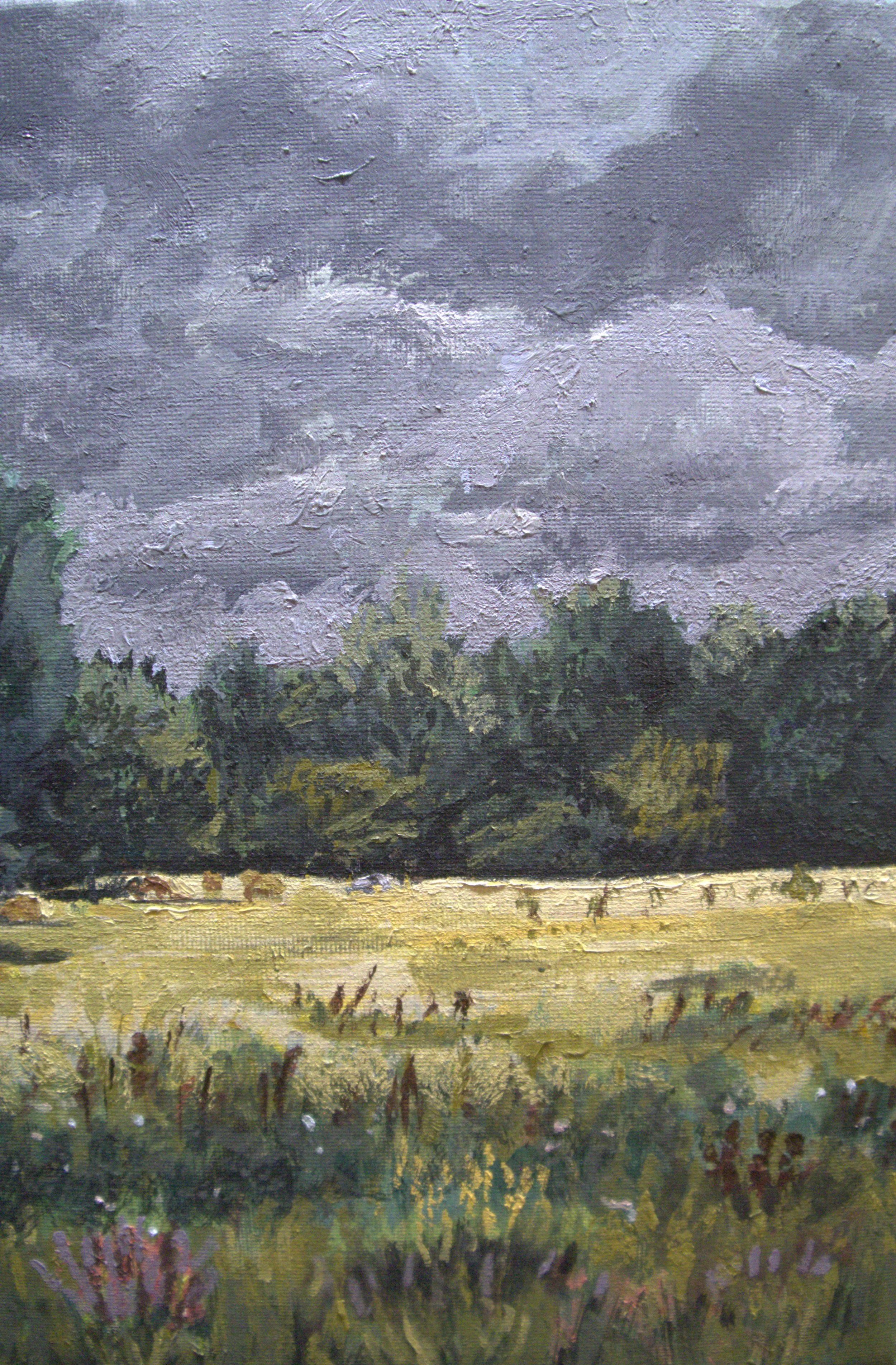 Elysium Fields 002.jpg