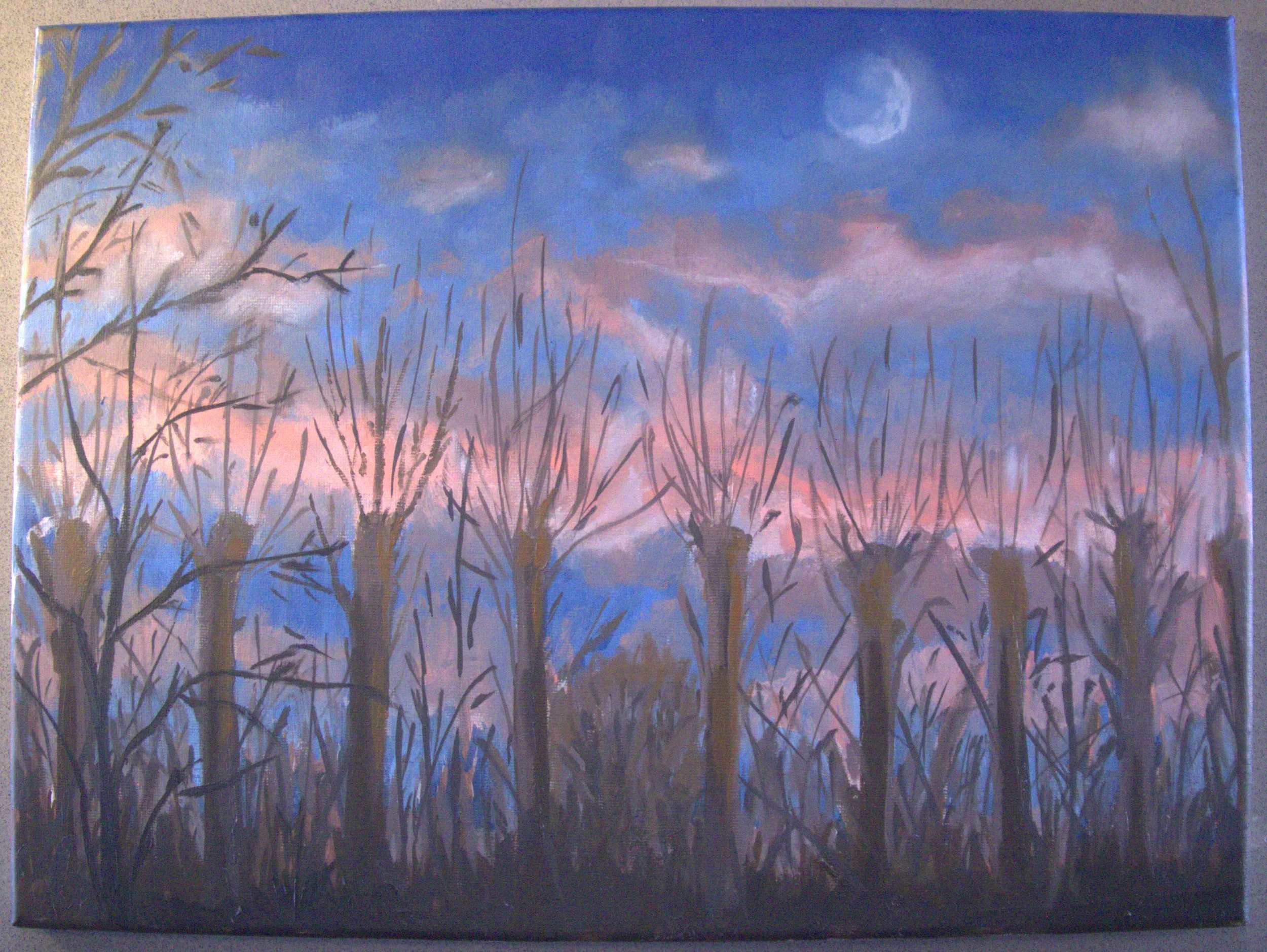 Out the back 001.jpg