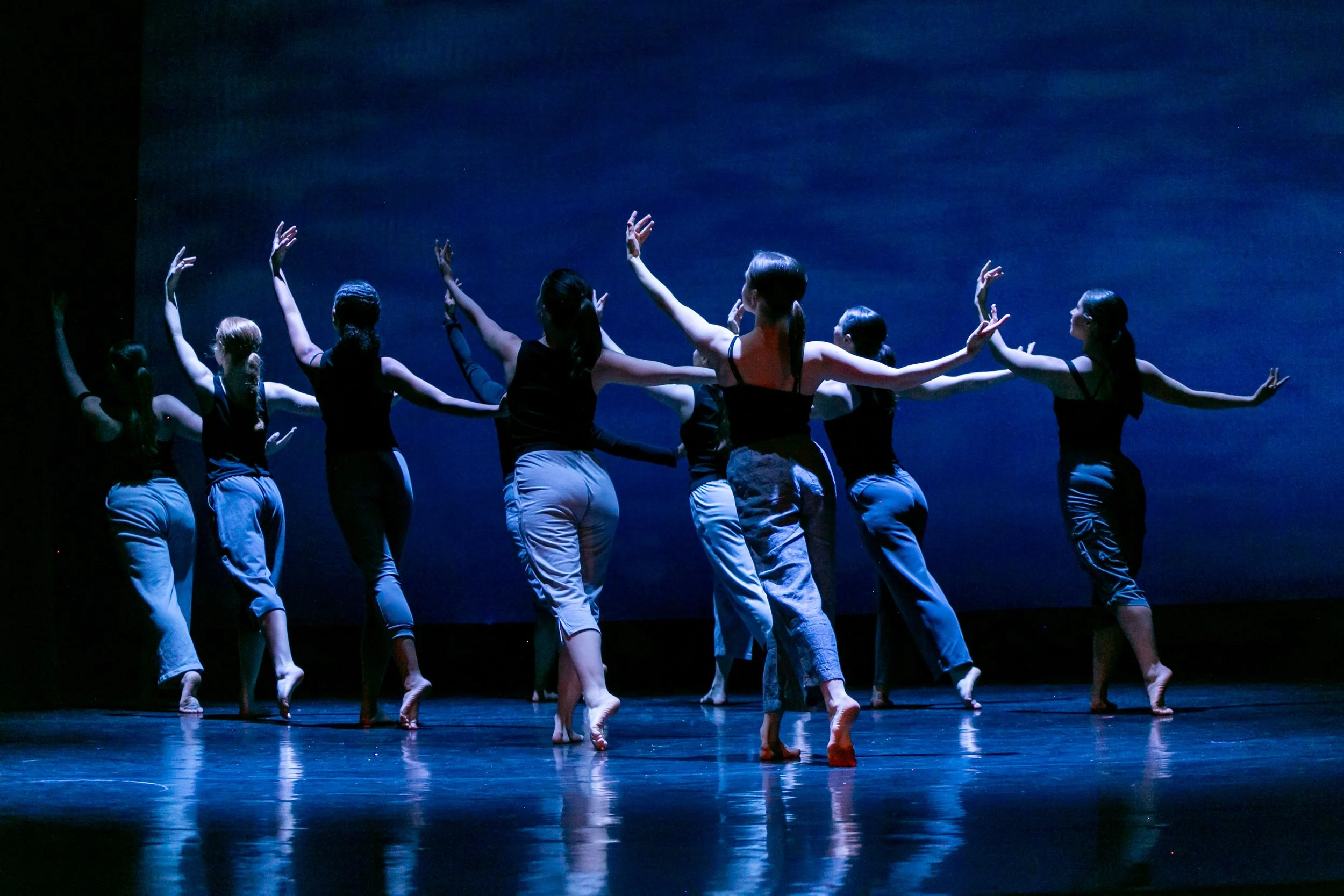 Fall Dance Showcase 2024