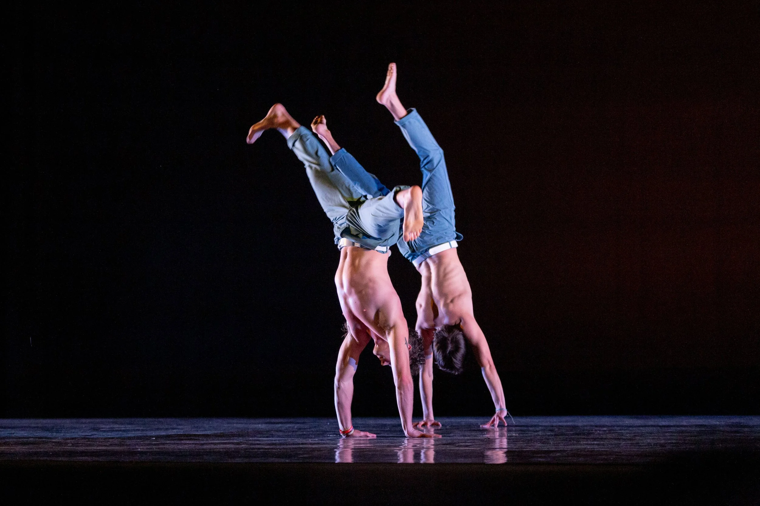 spring-2026-dance-215351.jpg