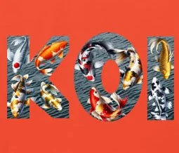 Orange koi.jpg