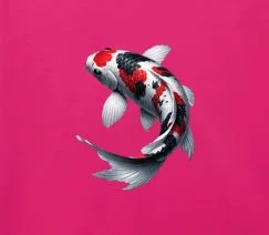 Heliconia Hot Pink Blob on head koi.jpg