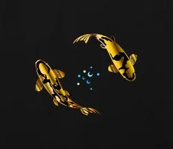 Gold Koi