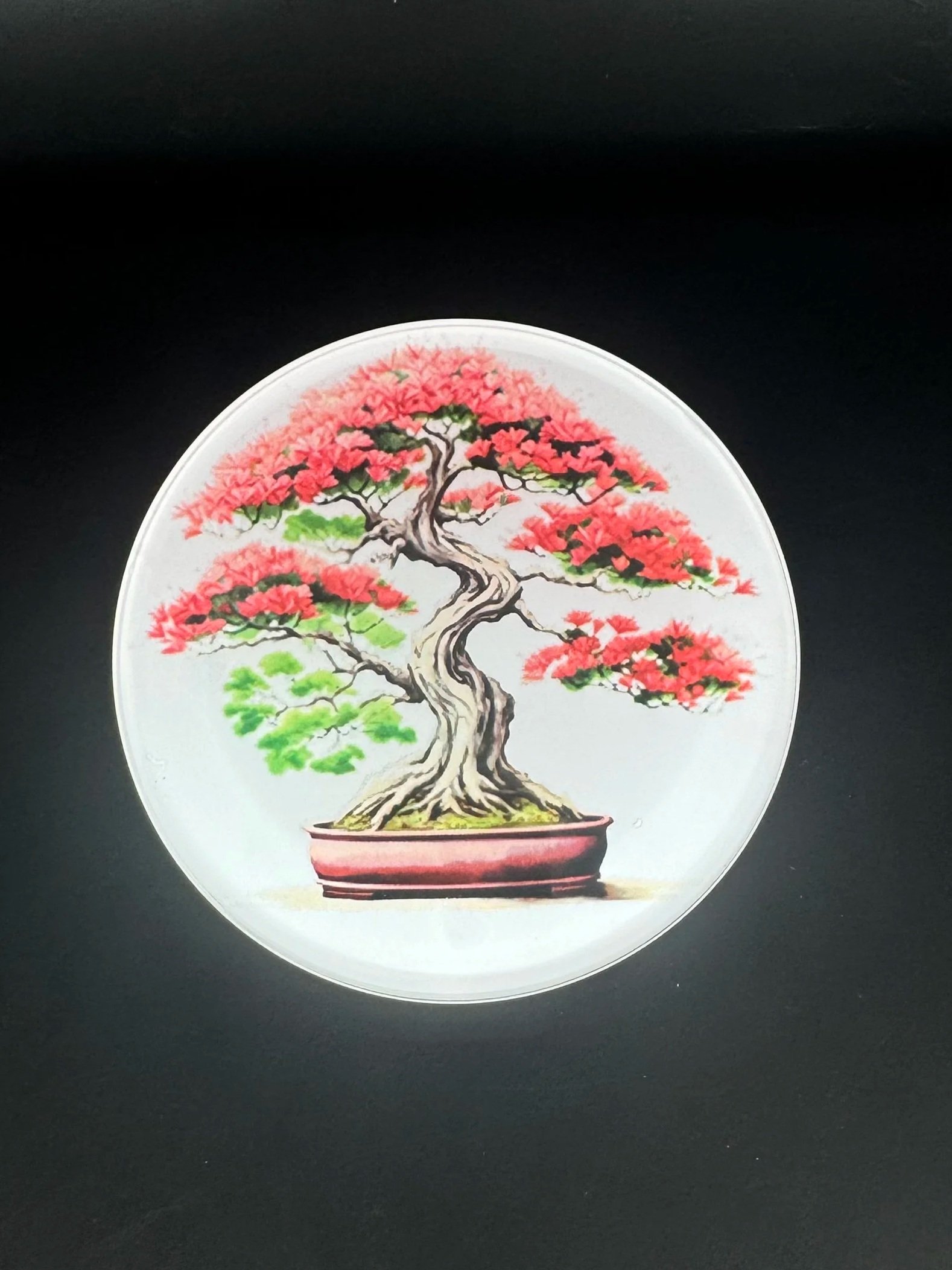 Circle Tempered Glass Coasters