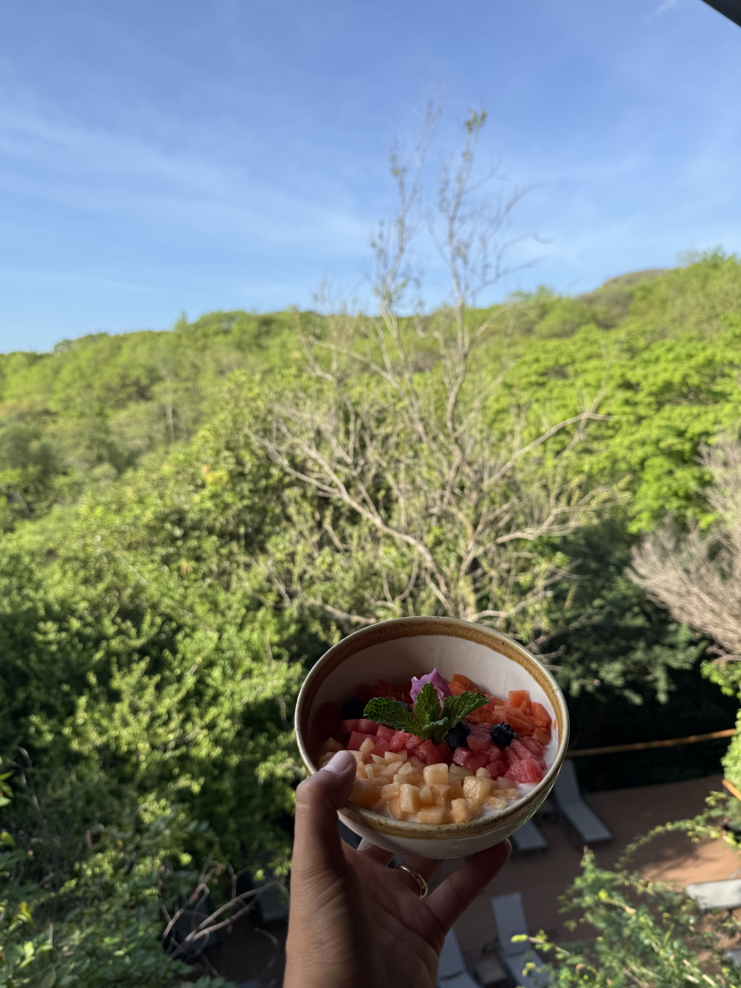 IMG_0775.jpeg