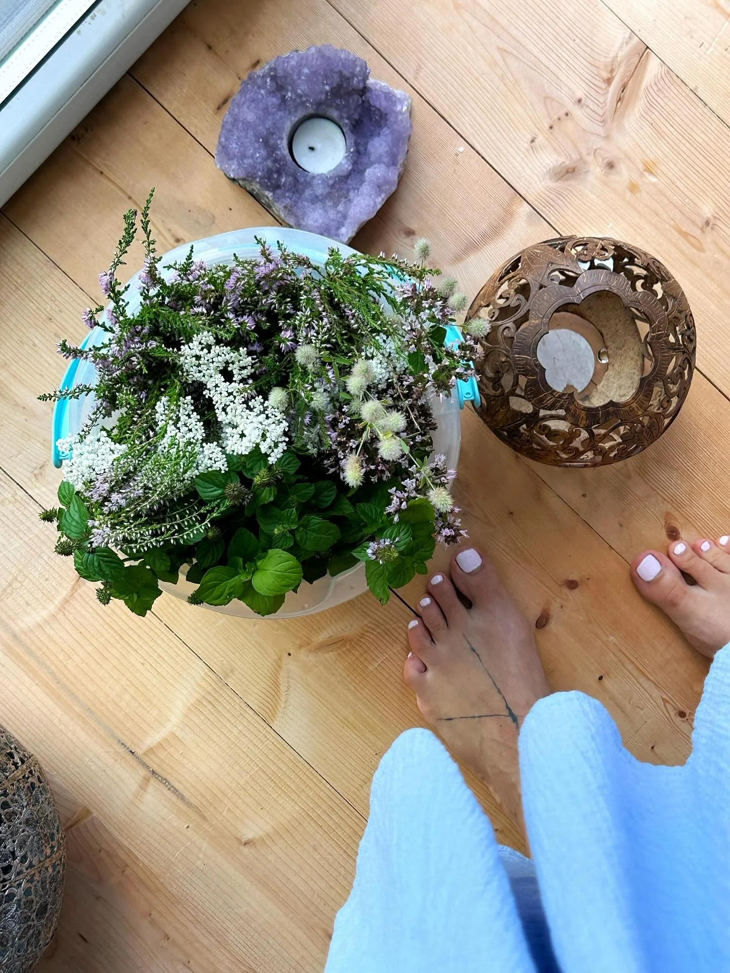 Hommikuselt metsatiirult m&otilde;ned taimed toiduilu loomikseks kaasa haaratud&hellip; Tegime vahepeal &uuml;he vahva pop-up kohviku Vana-Kivisillal! ✨

Men&uuml;&uuml;s olid:
🥣 meie n&otilde;iasupp &ndash; v&auml;ekas ja v&uuml;rtsikas nagu lugu i