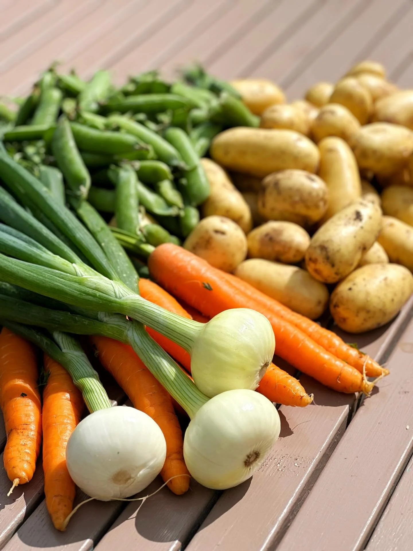 Meie k&ouml;&ouml;gi suured t&auml;nud ja s&uuml;damlikud tervitused l&auml;hevad proua Sirjele, kes varustab meid k&otilde;ige m&otilde;nusamate v&auml;rskete juur- ja k&ouml;&ouml;giviljadega otse oma talust! 🥕🌱
T&auml;nu Sirje hoolele ja armastu