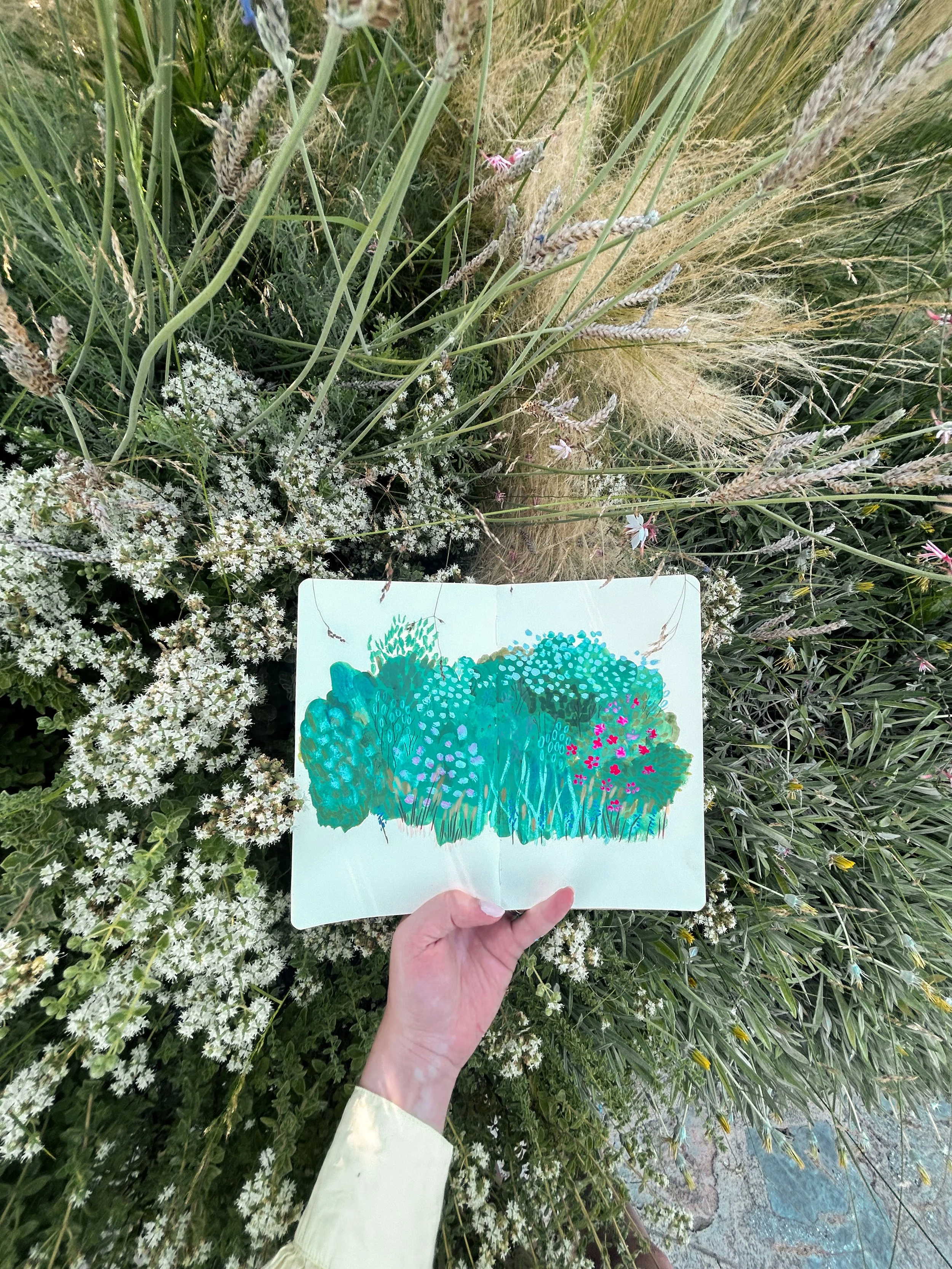A person holding a drawing of various bushes and flowers over a patch of greenery with white and purple flowers.