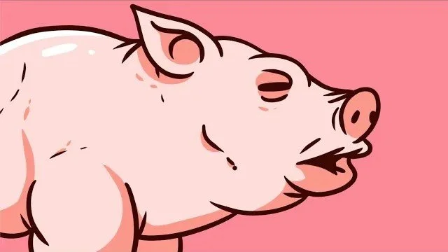 Our Pig thumbnail