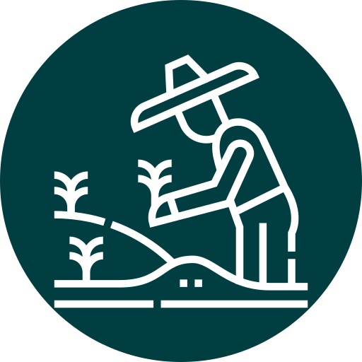 Icono de agricultura con una persona con sombrero trabajando en un campo con plantas.