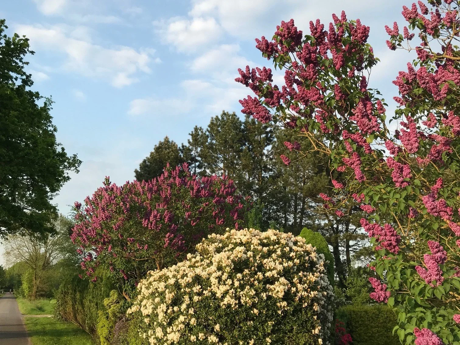 Kleine Straße vor dem Haus