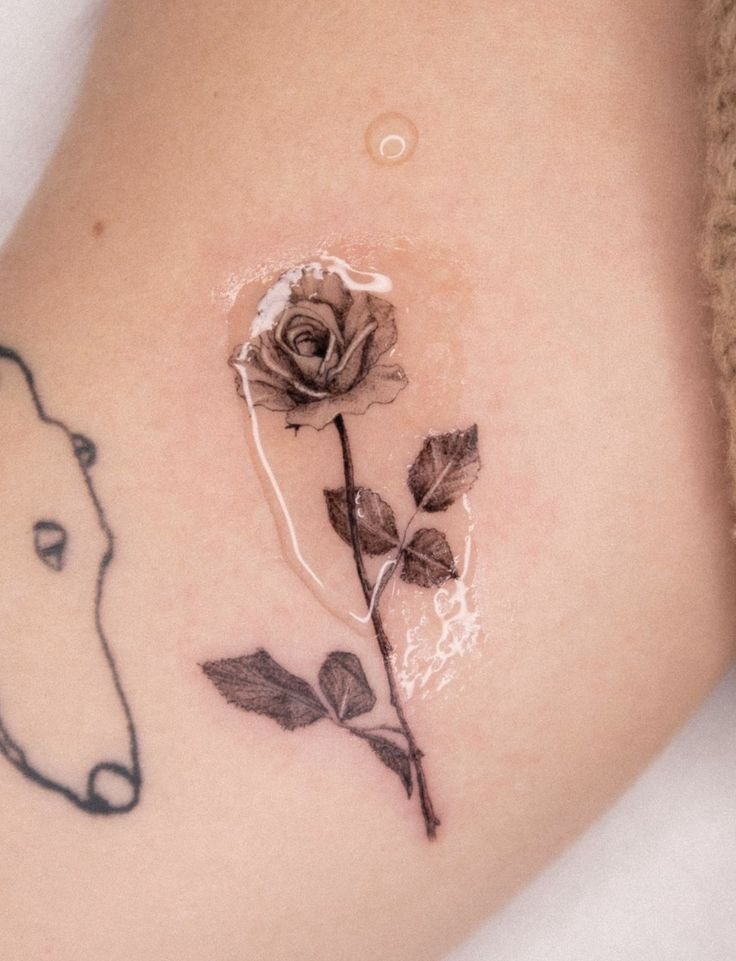 Microrealism rose by @vaniborn(1).jpg