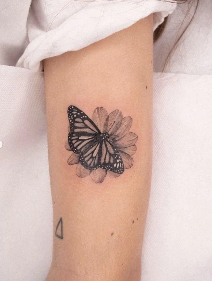 Butterfly by @vaniborn(1).jpg