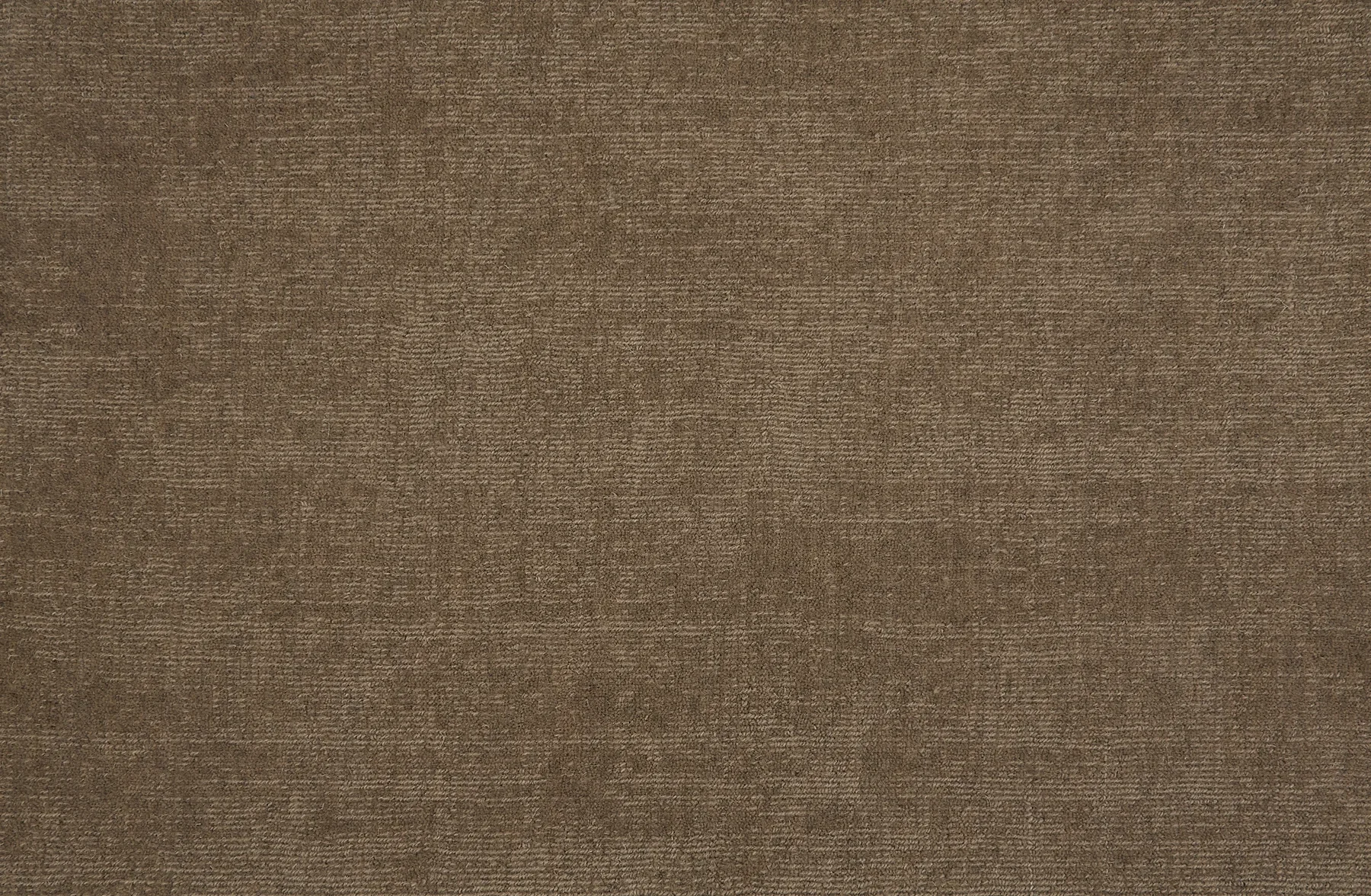 Arashi Beach_Cedar.webp