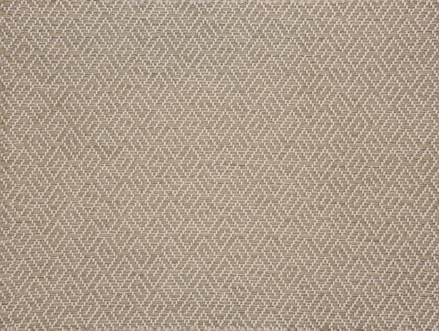 Bora Bora_Shell.webp