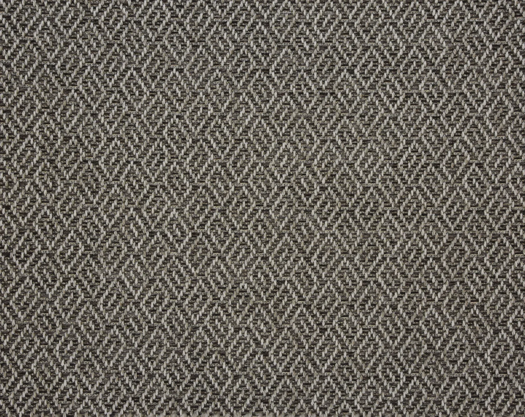 Bora Bora_Raven.webp