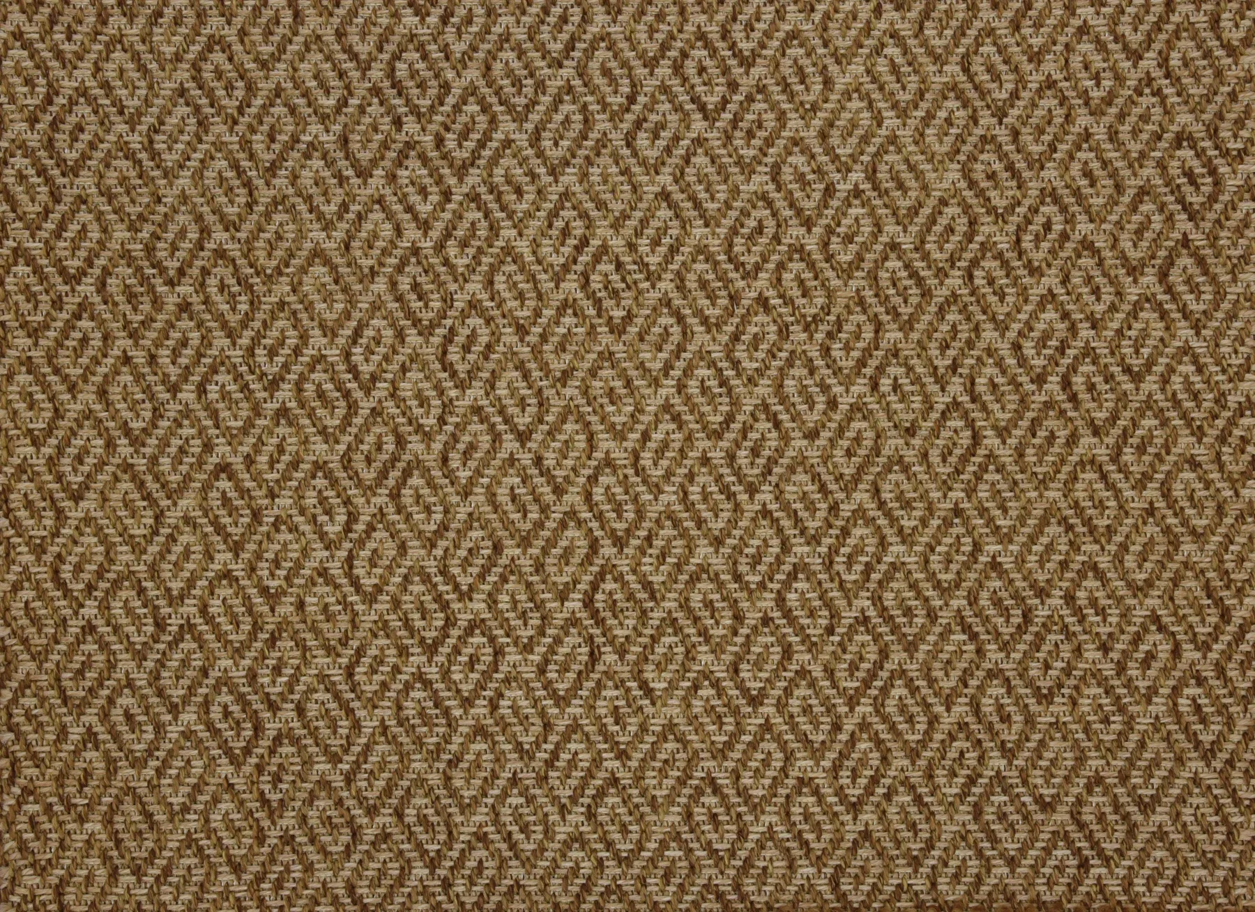 Bora Bora_Burnt_Umber (1).webp