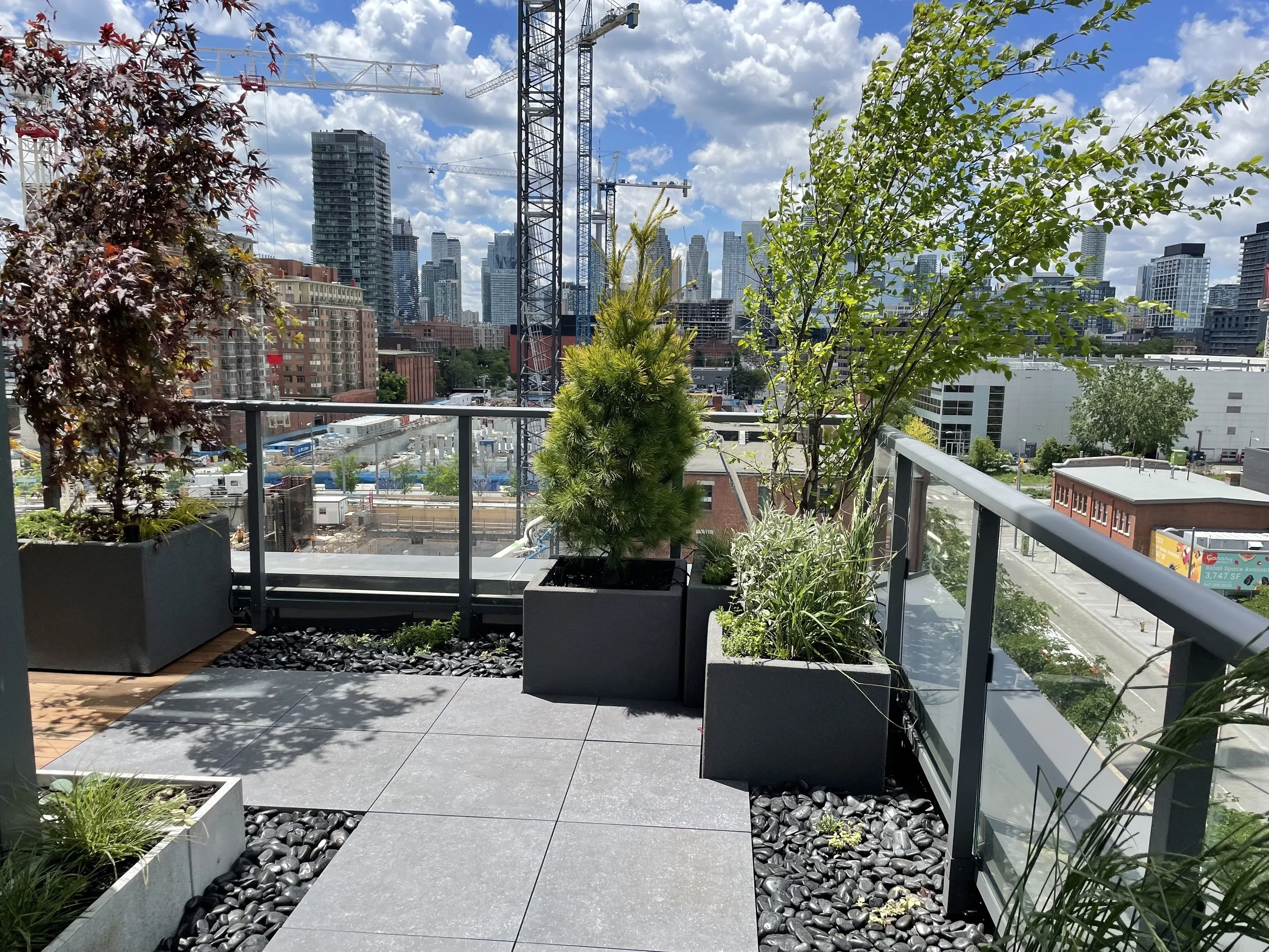 Canary District Terrace