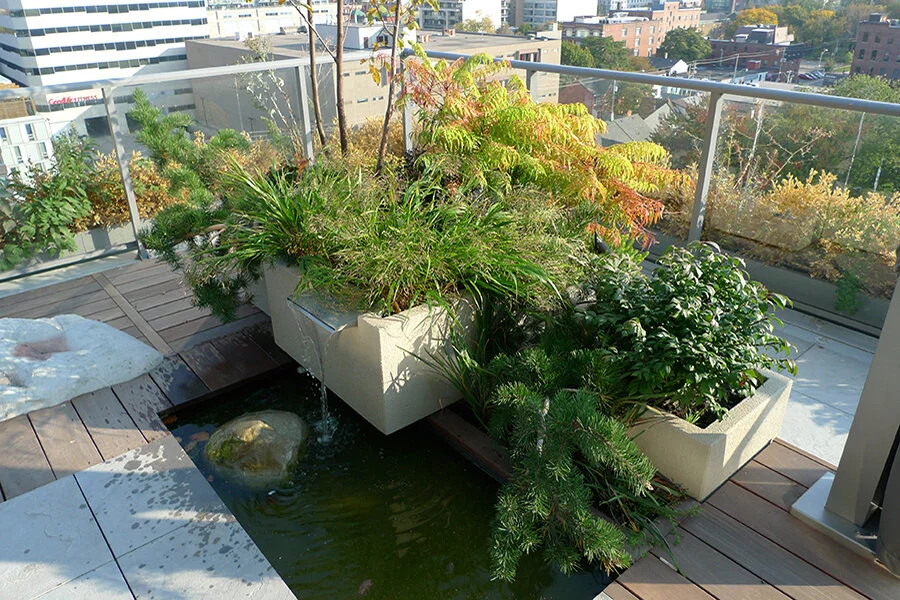 outdoor_KingWest4_3.jpg