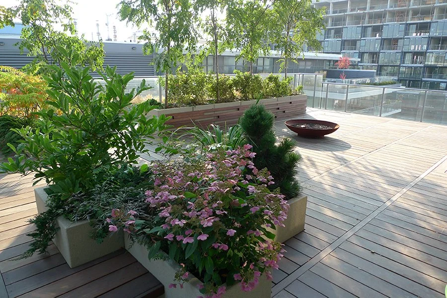 BOX_DESIGN_kingwest4_outdoor_terrace_design_toronto_custom_garden_oasis_planter_boxes_rooftop_07.jpg