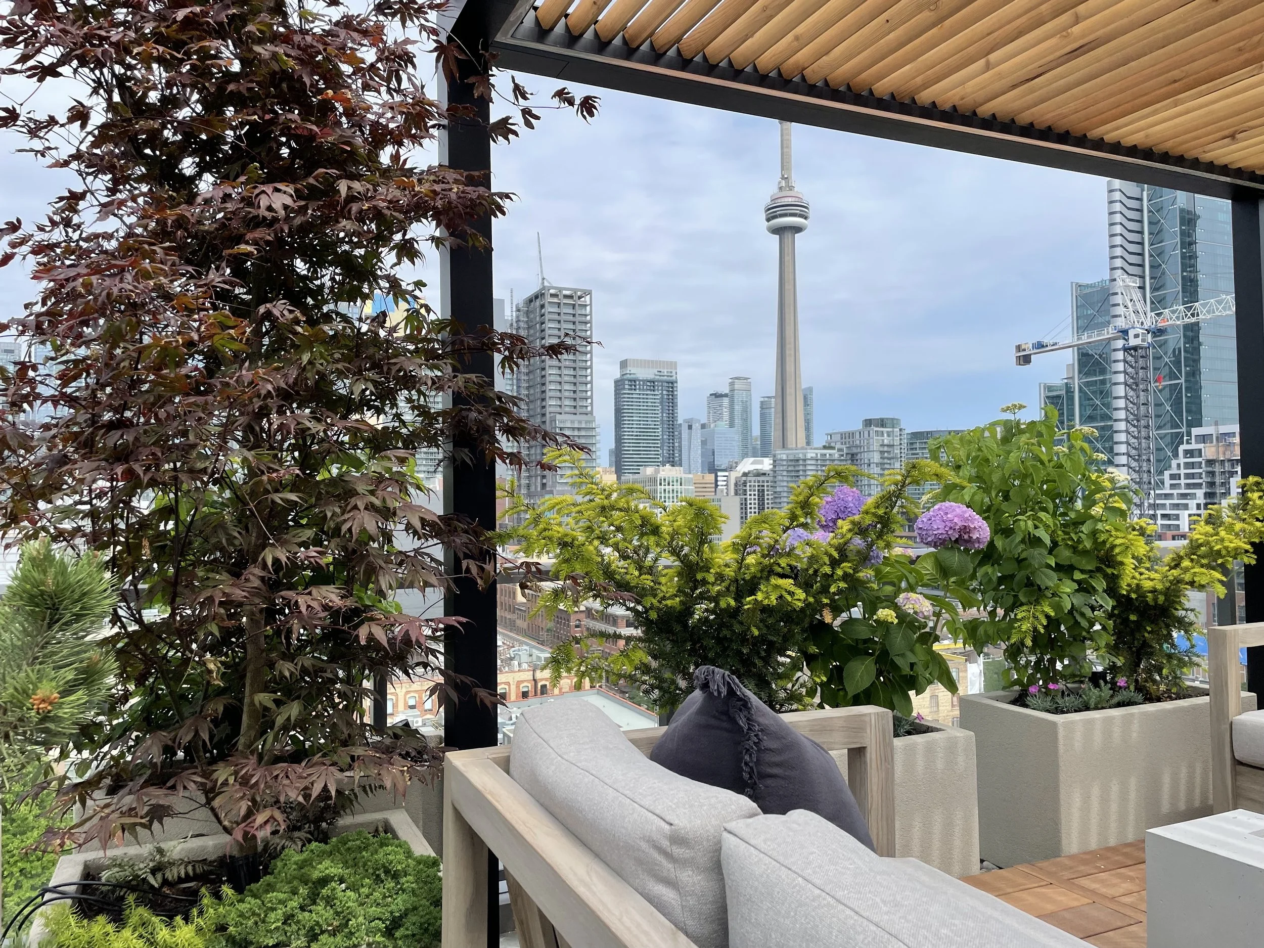BOX_DESIGN_kingwest5_terrace_design_build_rooftop_installation_custom_pergola_patio_planter_boxes_08.jpg
