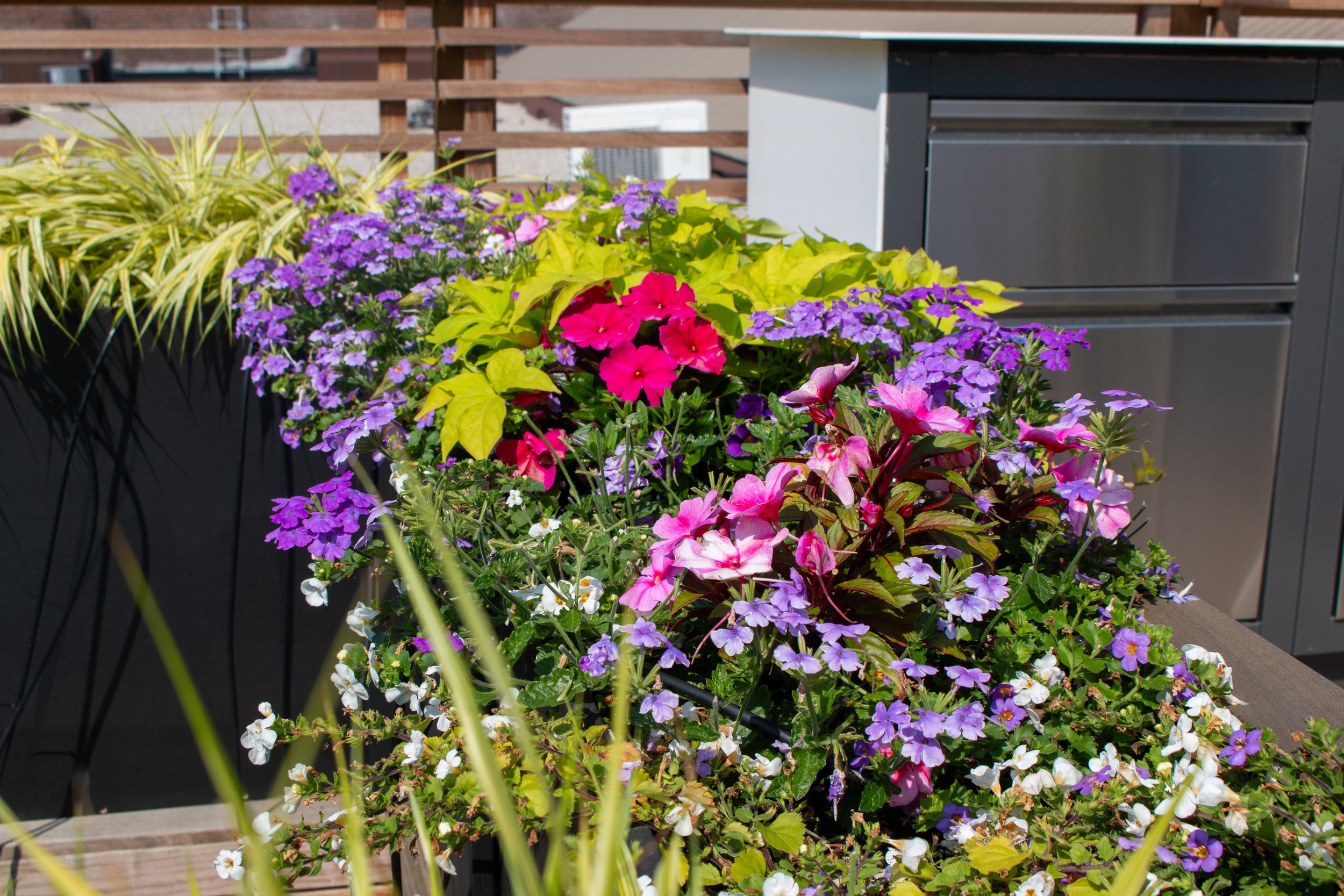 BOX_DESIGN_leslieville_rooftop_luxury_rooftop_custom_garden_oasis_terrace_planter_boxes_patio_07.jpg