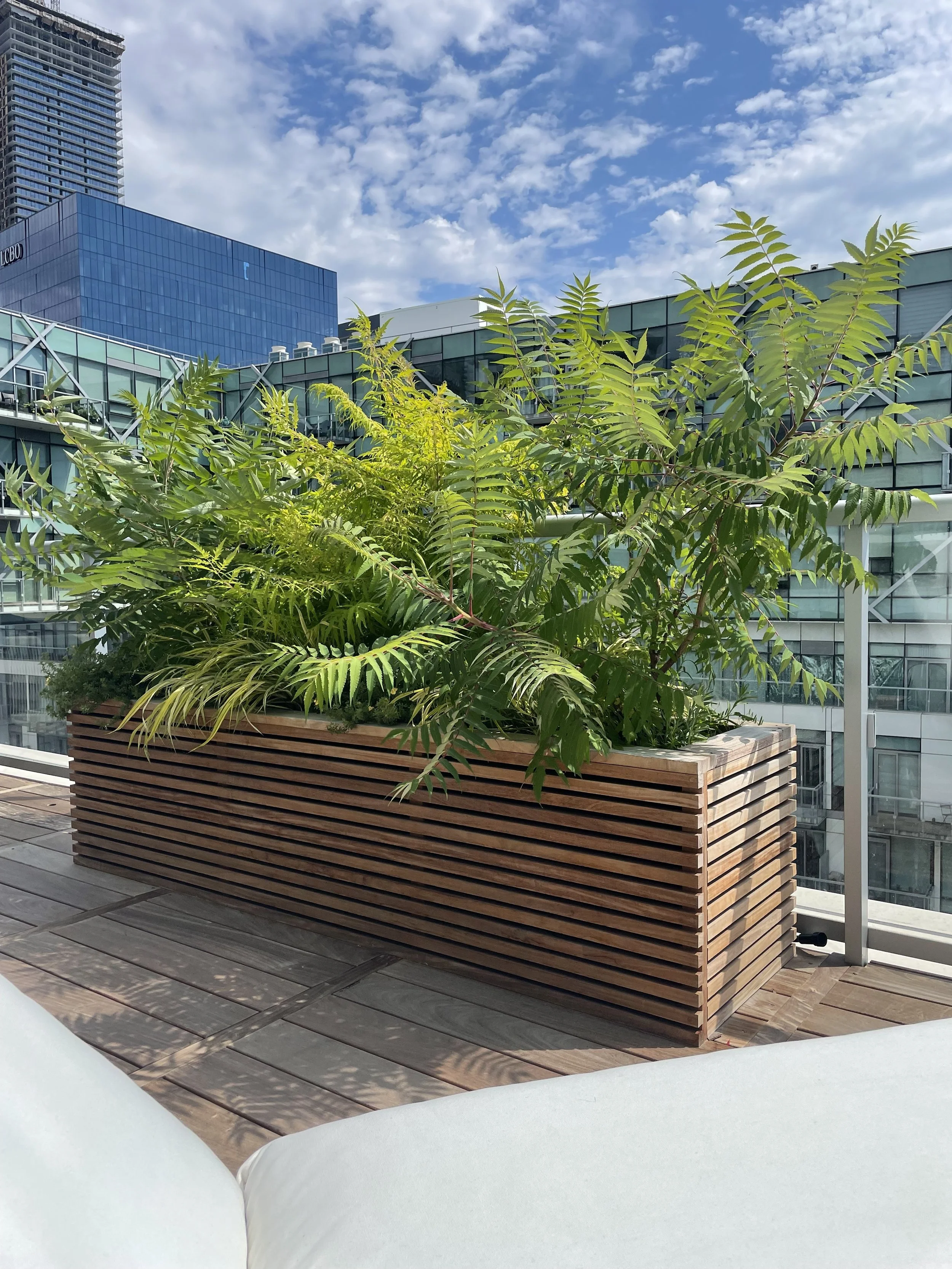 BOX_DESIGN_queens_quay1_custom_rooftop_design_build_patio_terrace_planter_boxes_15.jpg