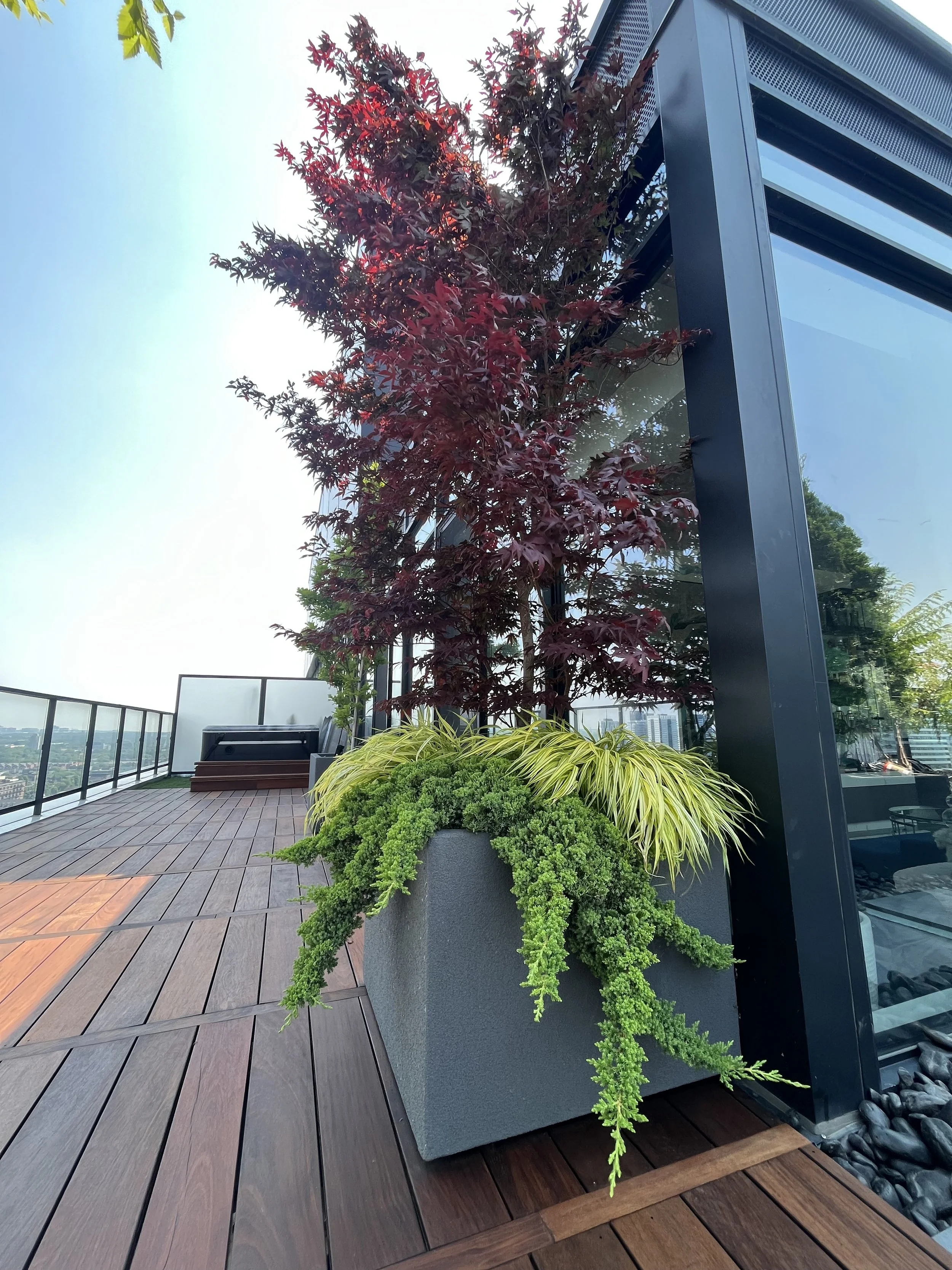BOX_DESIGN_richmond_street_custom_design_rooftop_terrace__planter_boxes_trees_in_the_sky_11.jpg