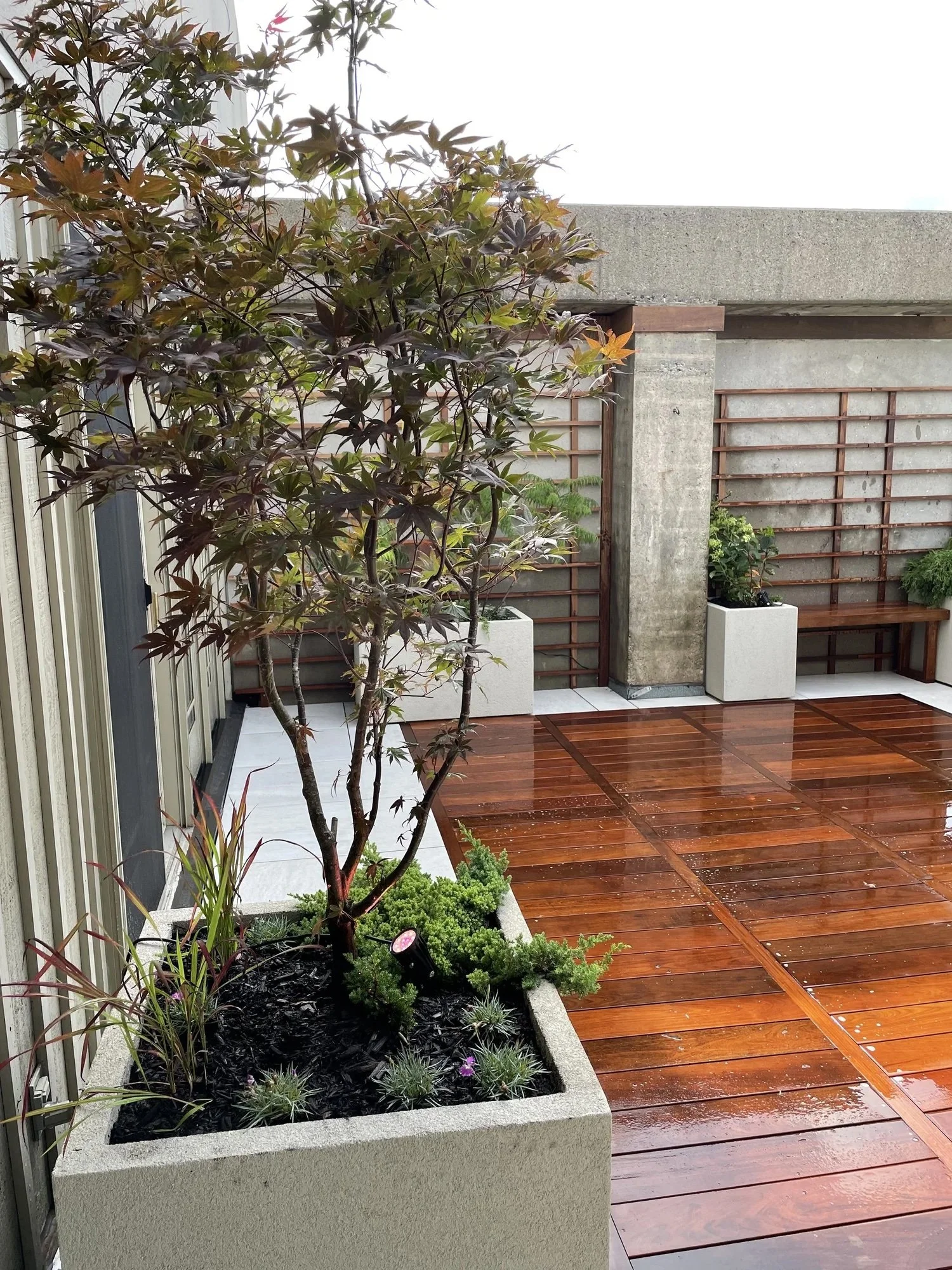BOX_DESIGN_spadina_north_terrace_outdoor_luxury_rooftop_custom_design_and_build_garden_oasis_live_plants_07.jpeg