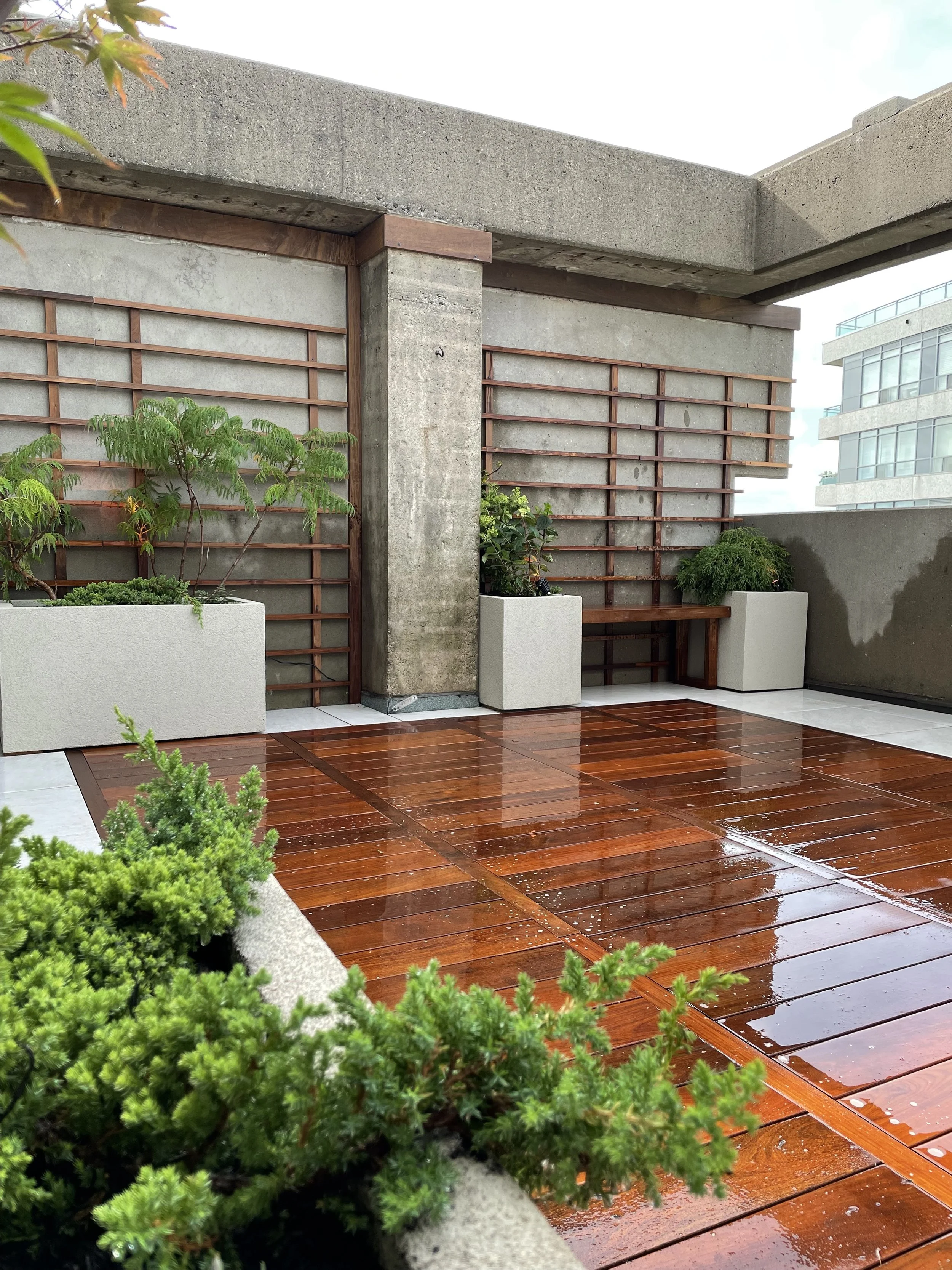 BOX_DESIGN_spadina_north_terrace_outdoor_luxury_rooftop_custom_design_and_build_garden_oasis_live_plants_11.jpg