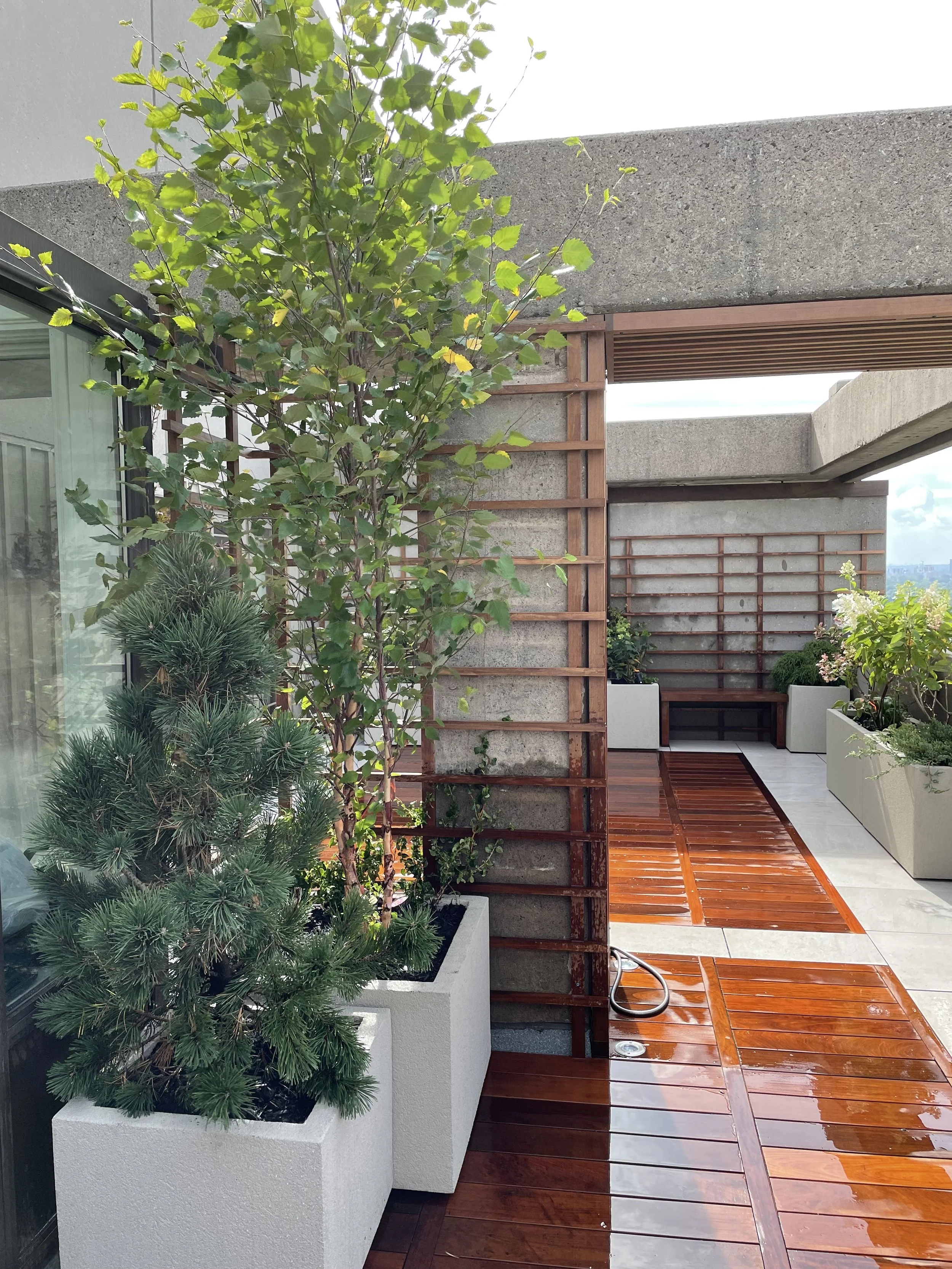 BOX_DESIGN_spadina_north_terrace_outdoor_luxury_rooftop_custom_design_and_build_garden_oasis_live_plants_12.jpg