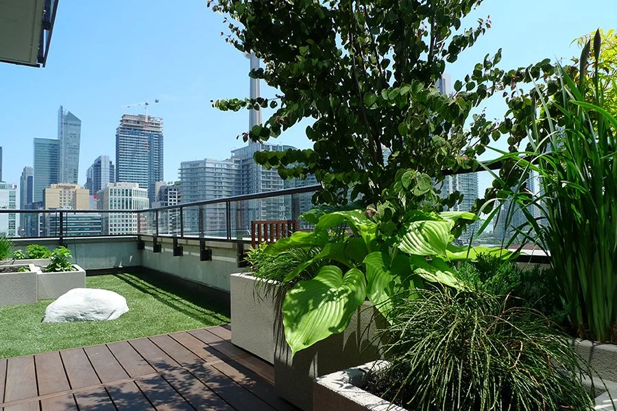 BOX_DESIGN_wellington_terrace_outdoor_custom_design_planter_boxes_02.jpg
