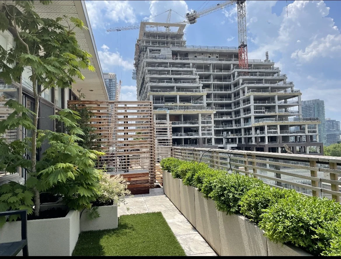 BOX_DESIGN_wellington_terrace_outdoor_custom_design_planter_boxes_patio_artificial_turf_09.jpg