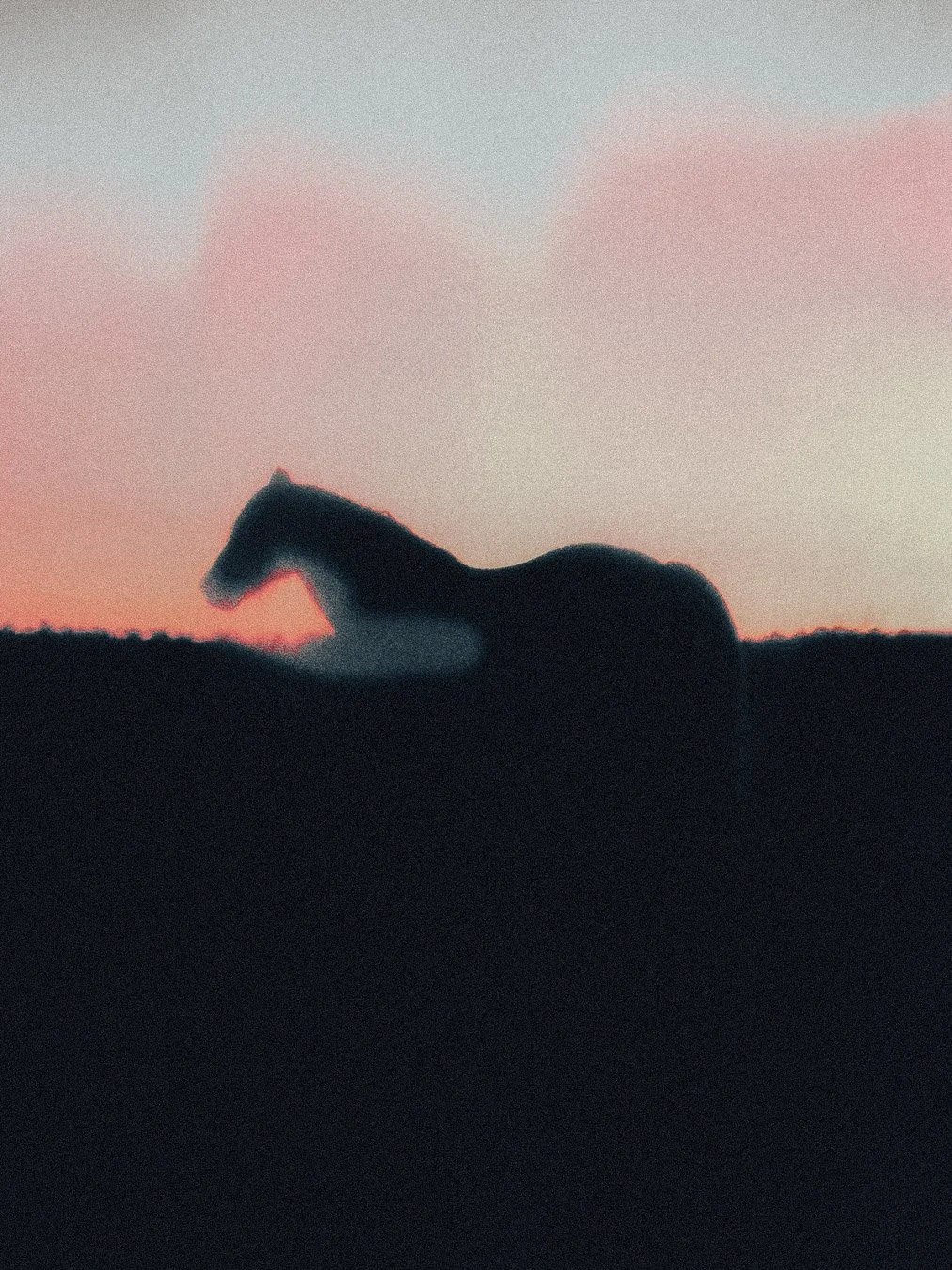 PAGE CARROUSEL WEB-5.jpg